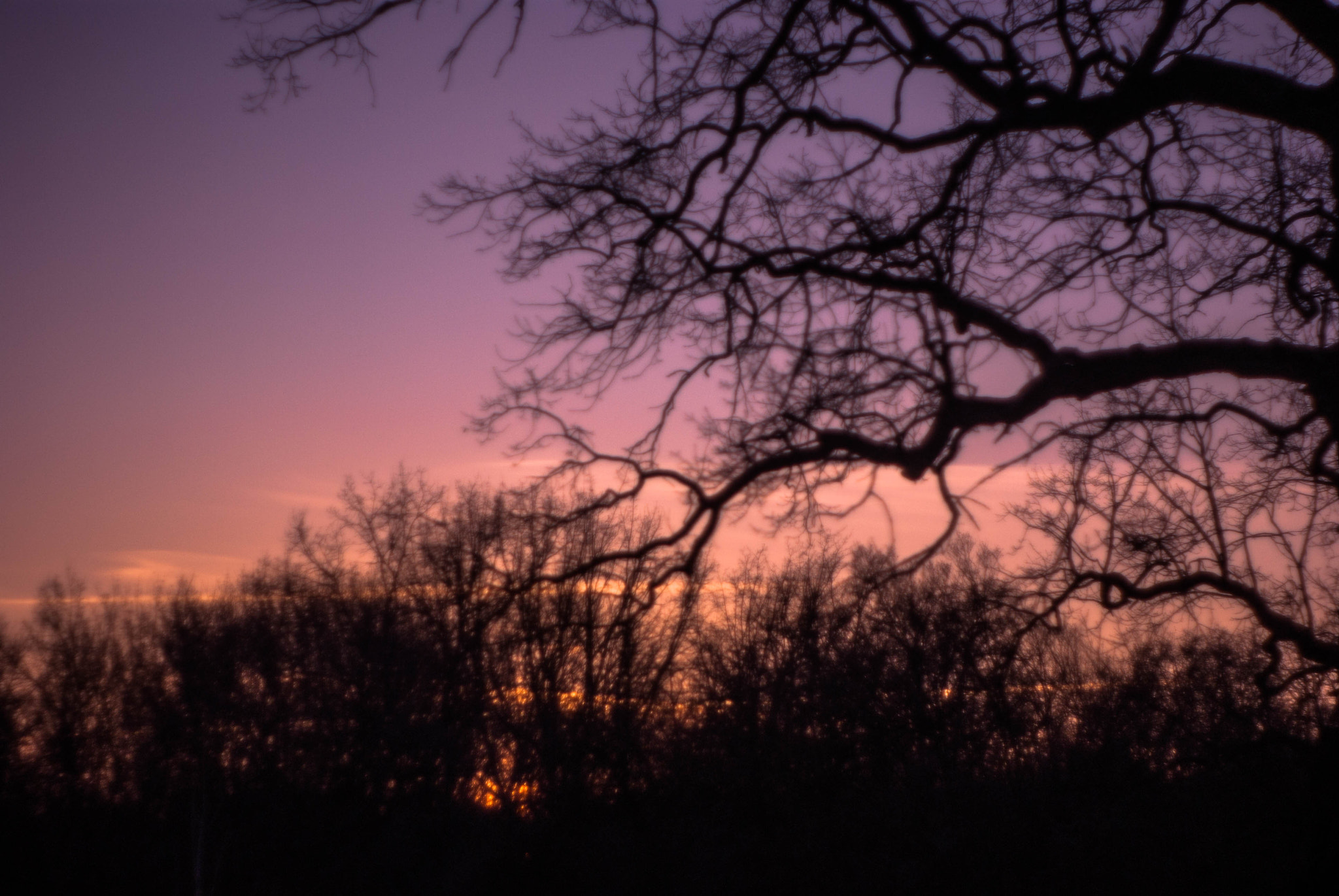 A Series Lens sample photo. Softly photographed silhouettes photography