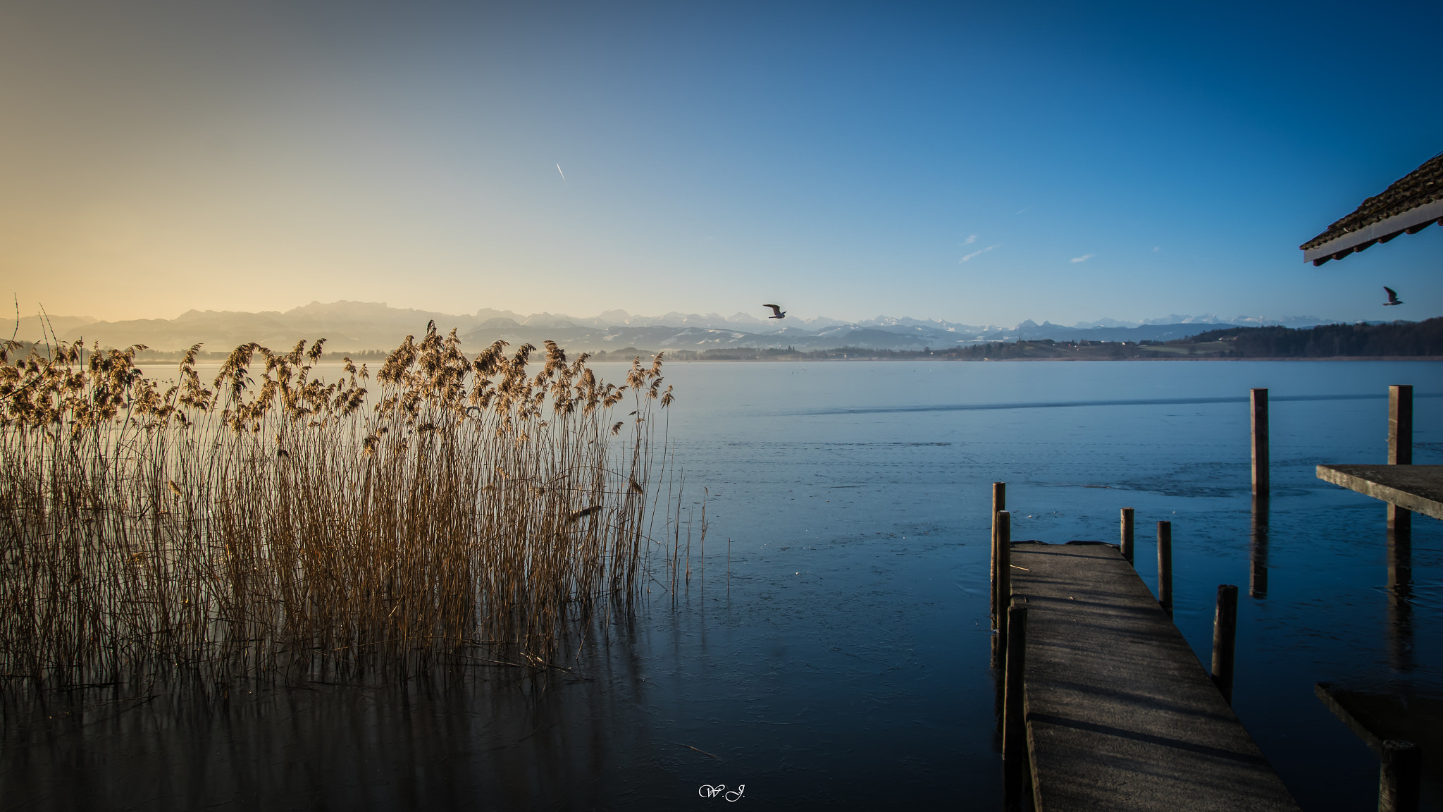 Sony ILCA-77M2 sample photo. Morgenstimmung am pfäffikersee photography