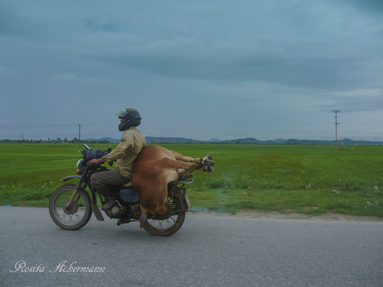 Panasonic DMC-TZ2 sample photo. In vietnam countryside photography