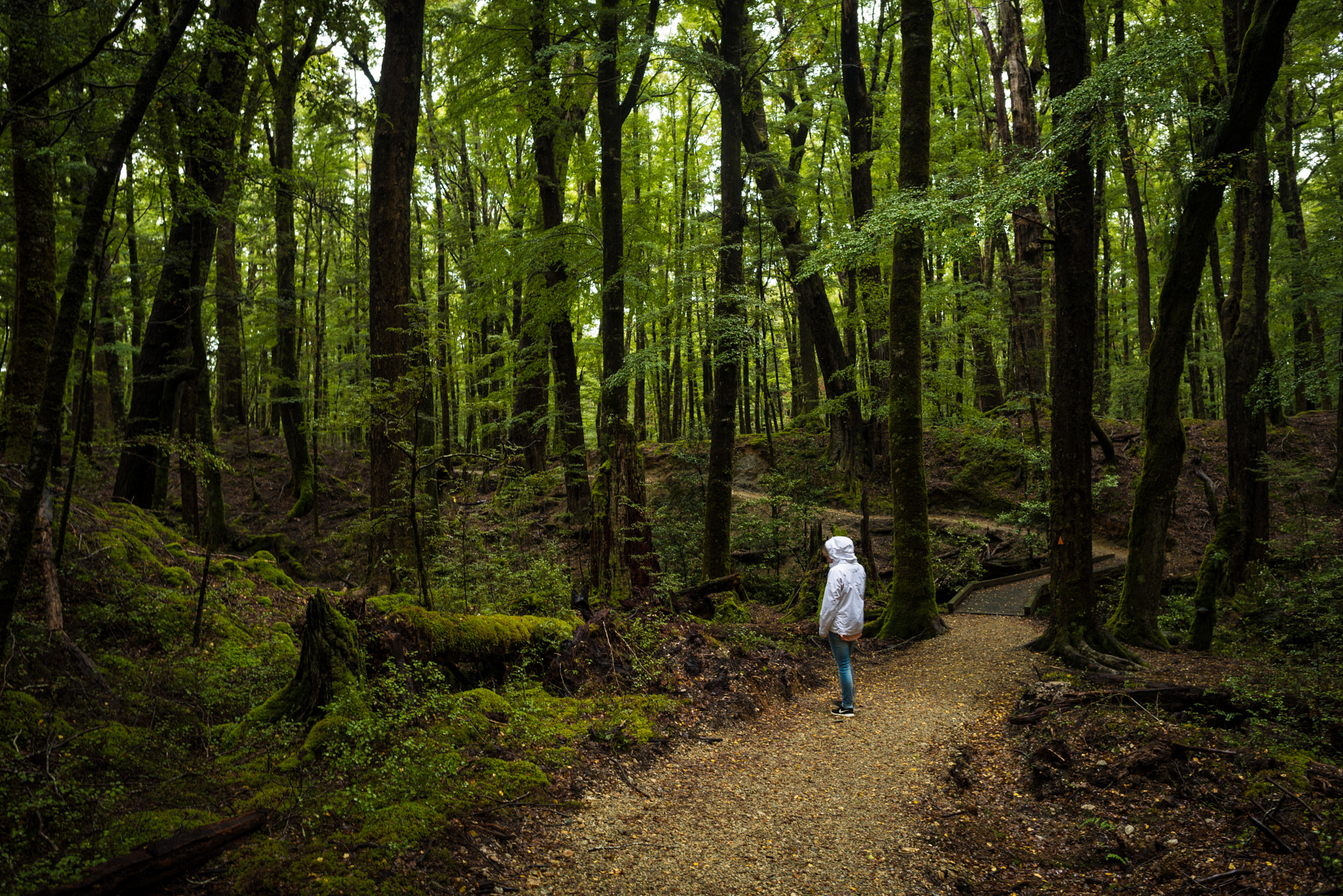 Nikon D750 + Nikon AF-S Nikkor 24mm F1.4G ED sample photo. Back to nature photography