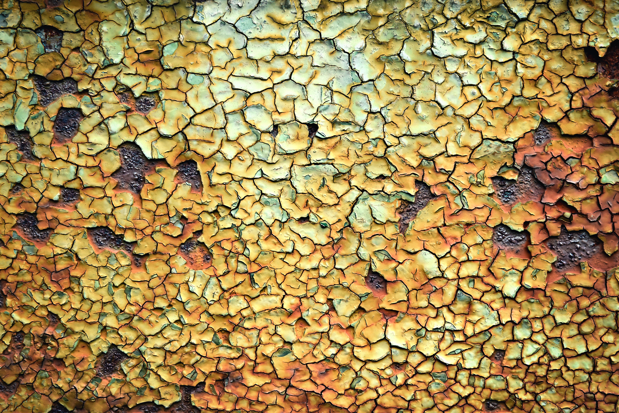 Nikon D5500 sample photo. Texture of old paint with cracks photography