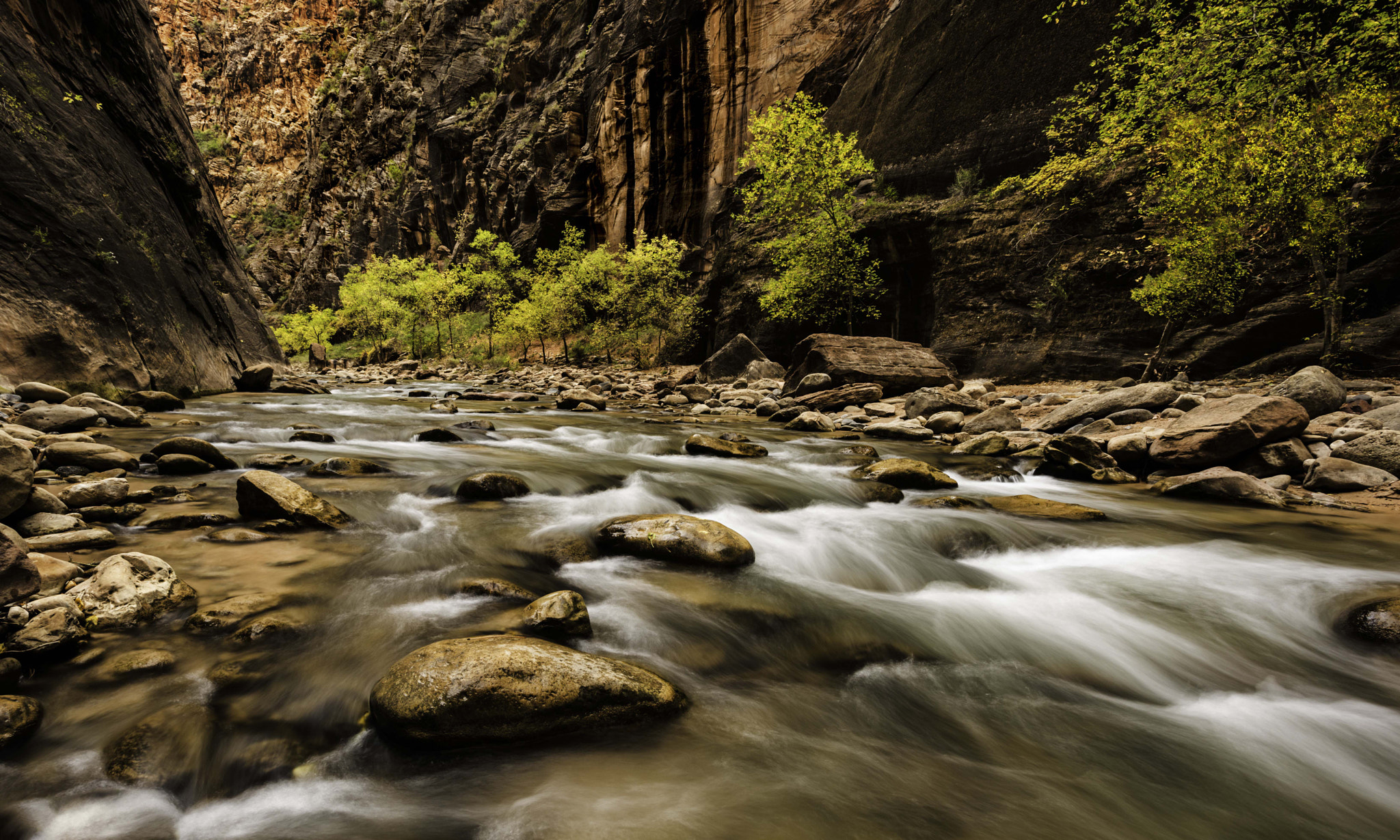 Nikon D810 + Nikon AF-S Nikkor 17-35mm F2.8D ED-IF sample photo. The virgin river photography