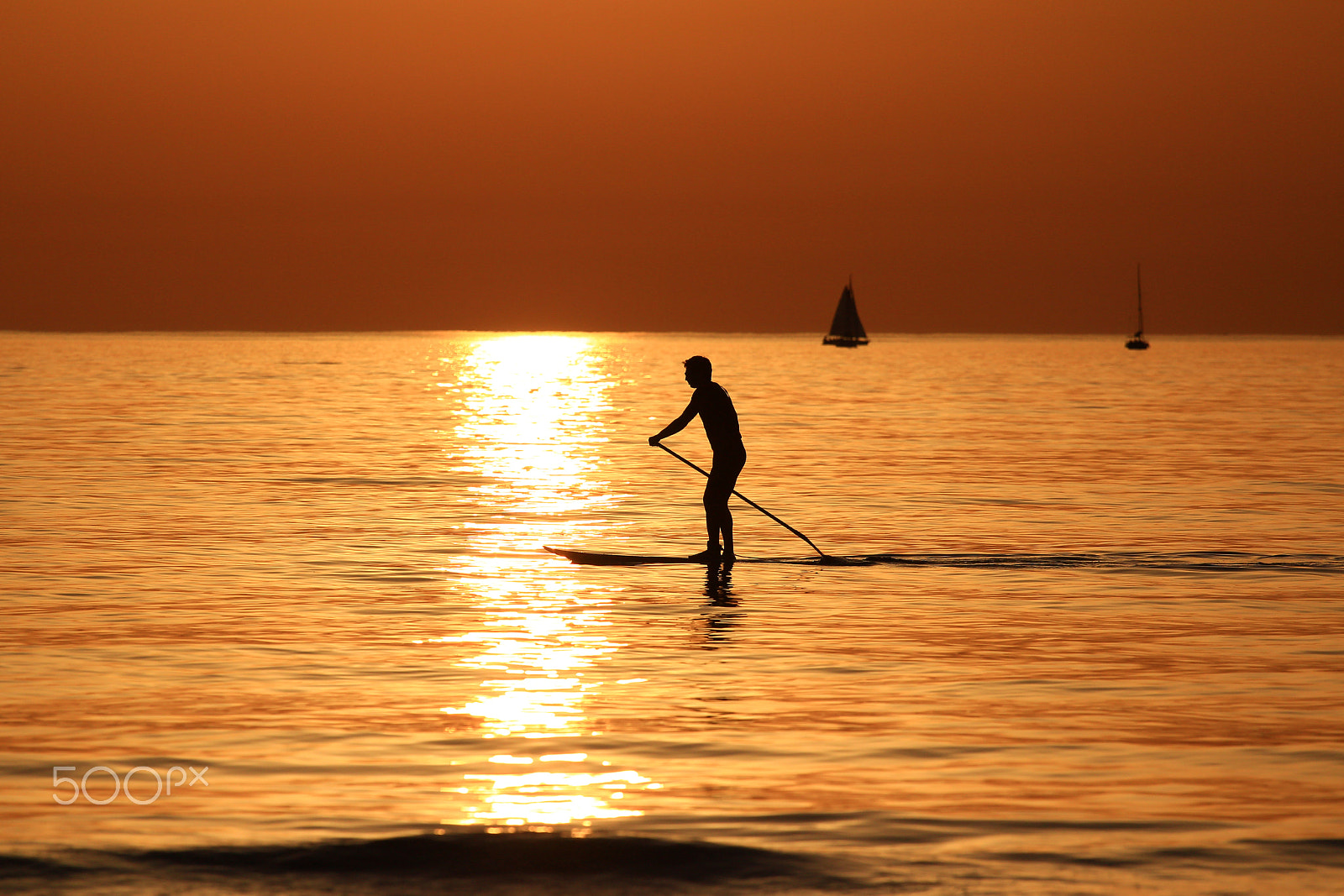 Canon EOS 600D (Rebel EOS T3i / EOS Kiss X5) sample photo. Paddling on the sup in a golden sea - tel-aviv photography