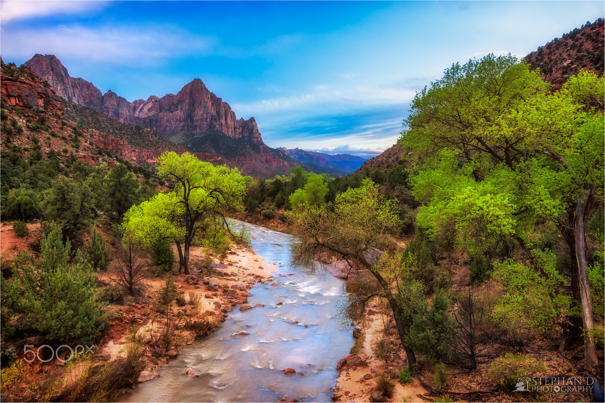 Sony SLT-A77 sample photo. Zion photography
