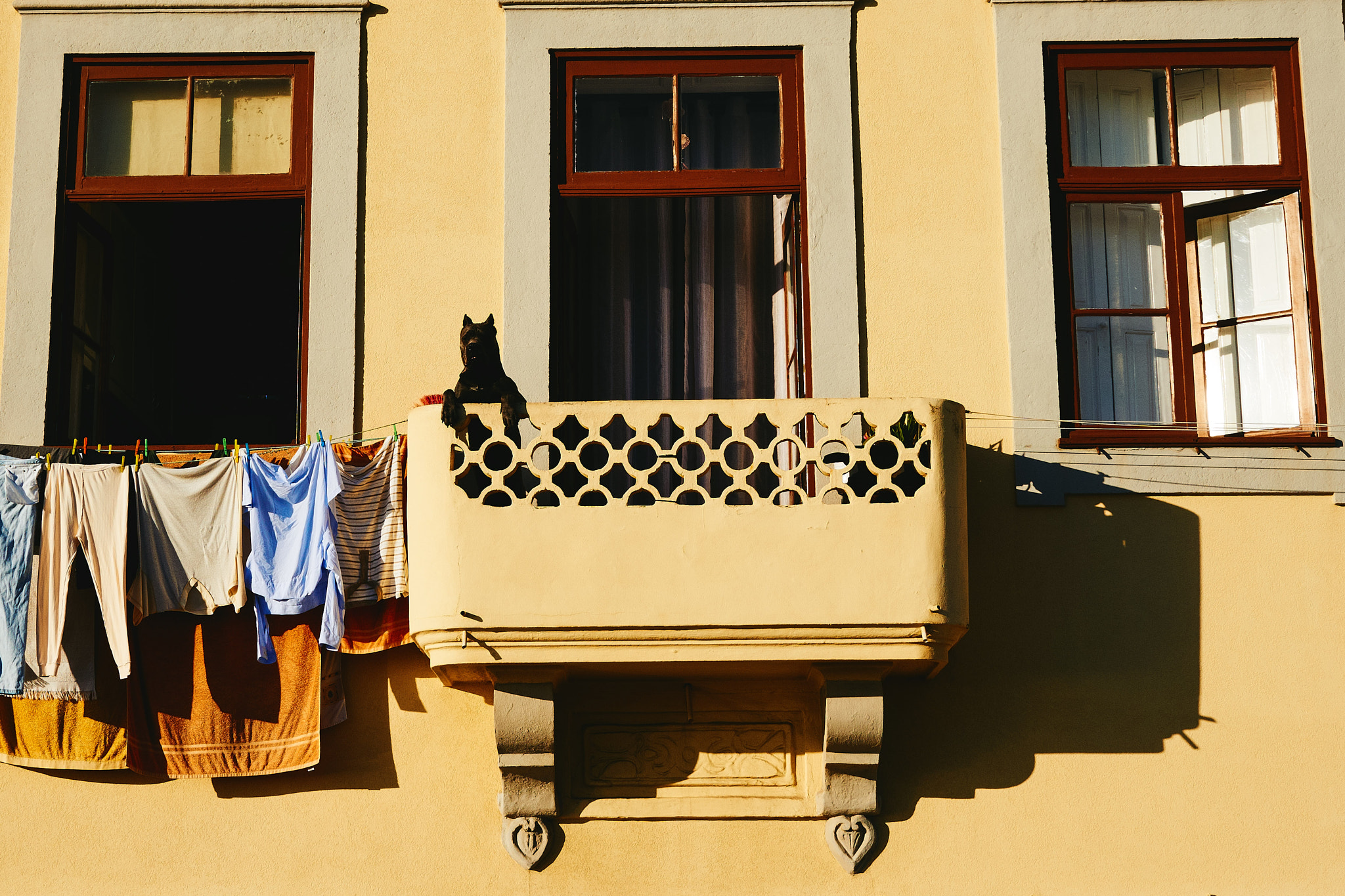 Sony FE 28mm F2 sample photo. The observer photography