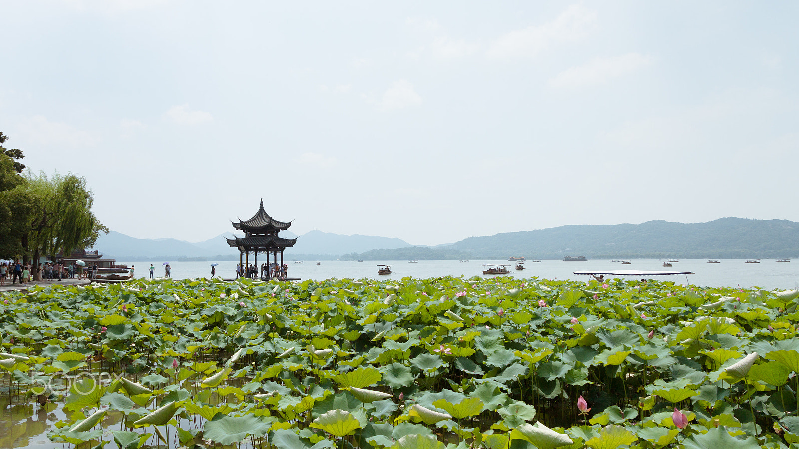 Canon EOS 500D (EOS Rebel T1i / EOS Kiss X3) sample photo. West lake photography