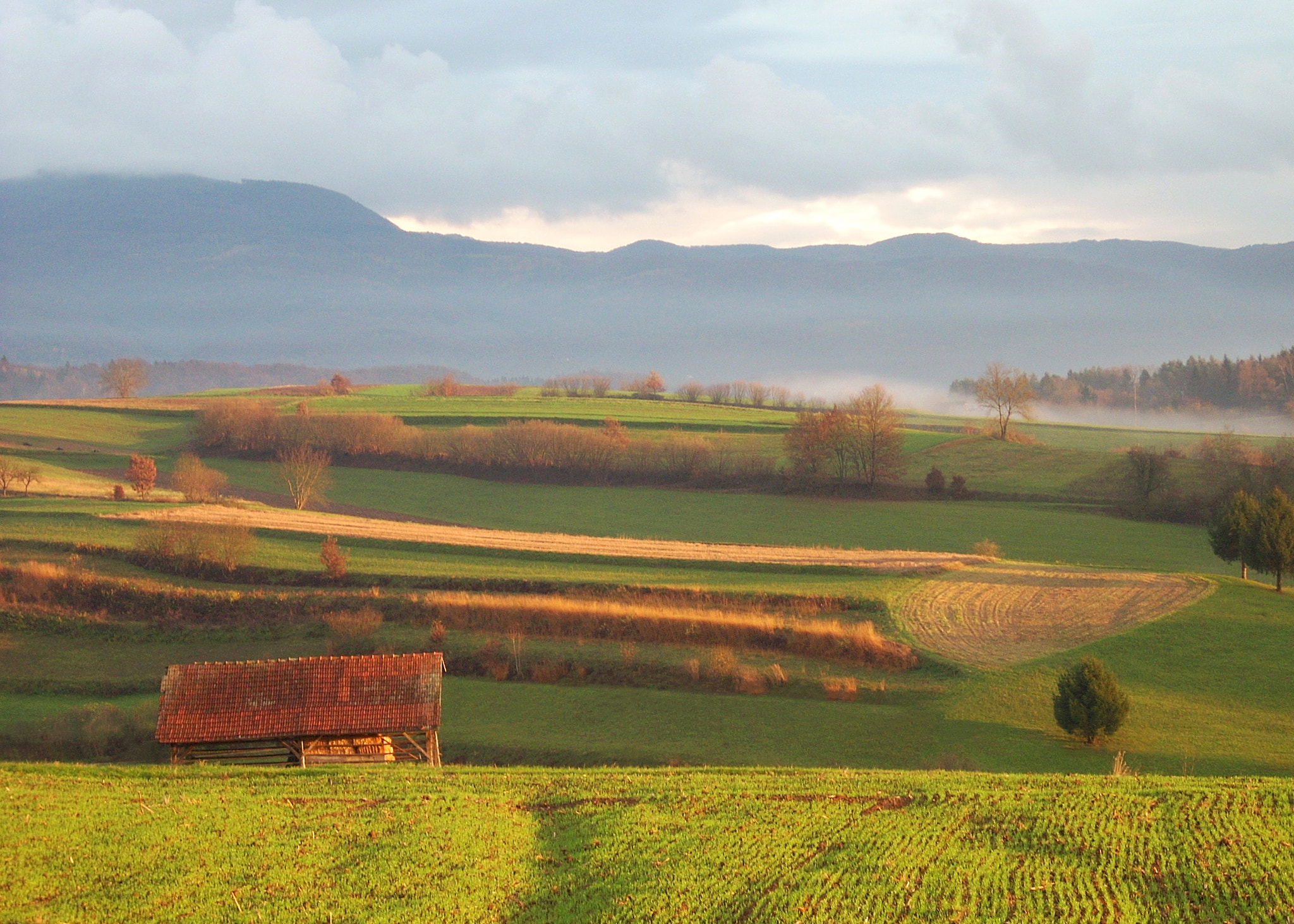 Nikon COOLPIX L10 sample photo. Colorful fields photography