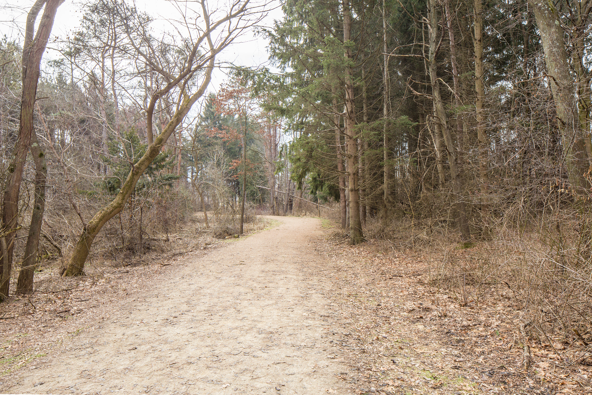 Canon TS-E 24.0mm f/3.5 L II sample photo. Escape path photography