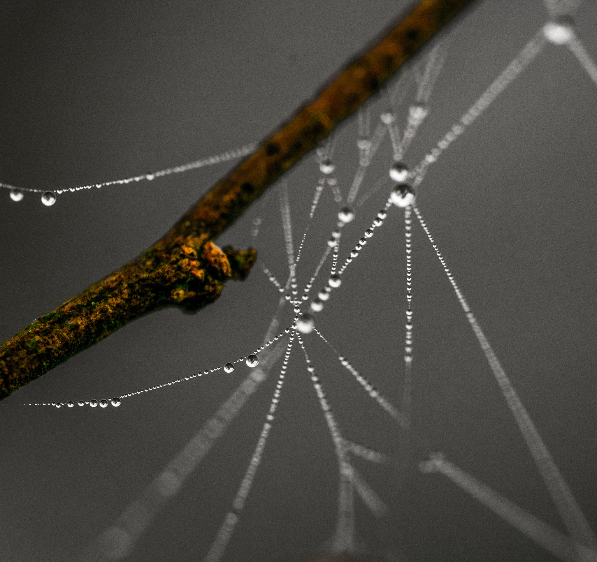 Panasonic Lumix DMC-GM1 sample photo. Droplet highways photography