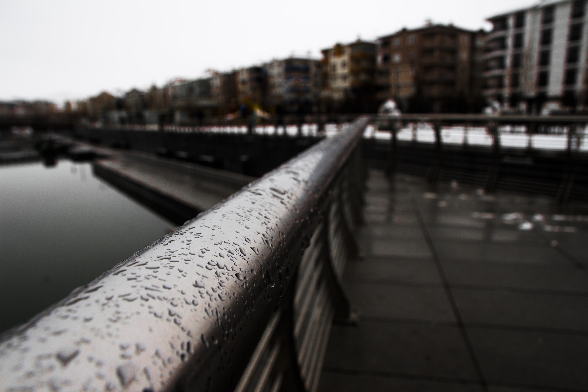 Canon EF-S 17-55mm F2.8 IS USM sample photo. Rain photography