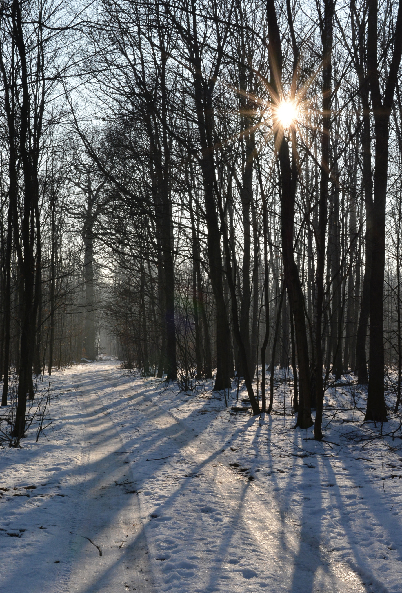 Nikon D7100 + Nikon AF-S Nikkor 28mm F1.8G sample photo. Zimní sluníčko photography