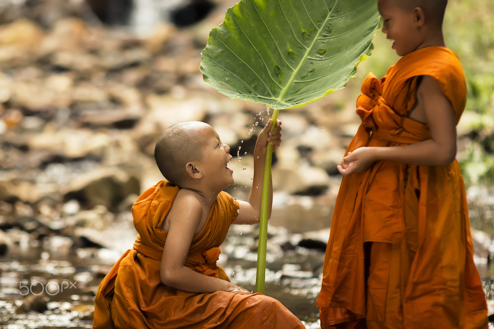 Canon EOS 70D + Sigma 70-200mm F2.8 EX DG OS HSM sample photo. Novice monk  is in a fresh nature. photography