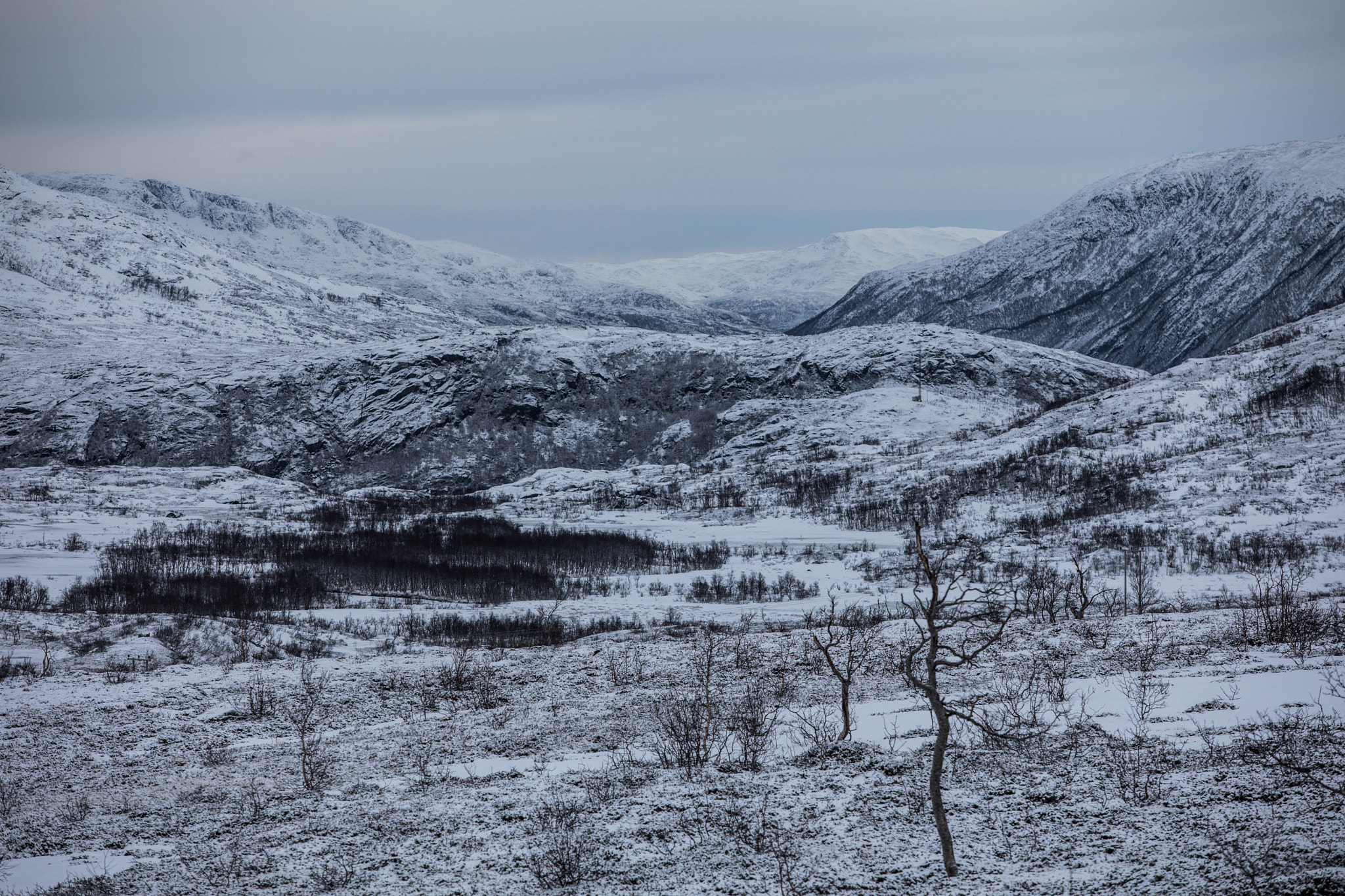 Canon EF 70-200mm F2.8L USM sample photo. Winter is coming photography