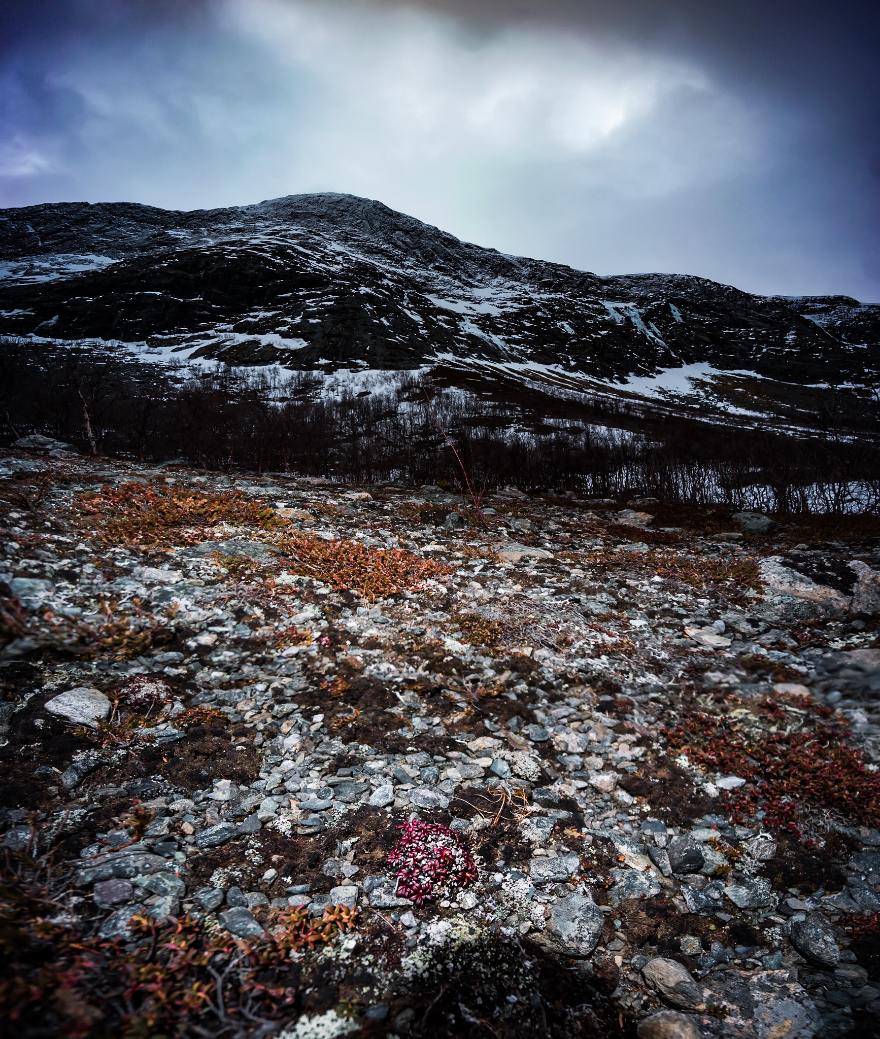 Sony Alpha NEX-7 + Sony E 10-18mm F4 OSS sample photo. Så nära photography