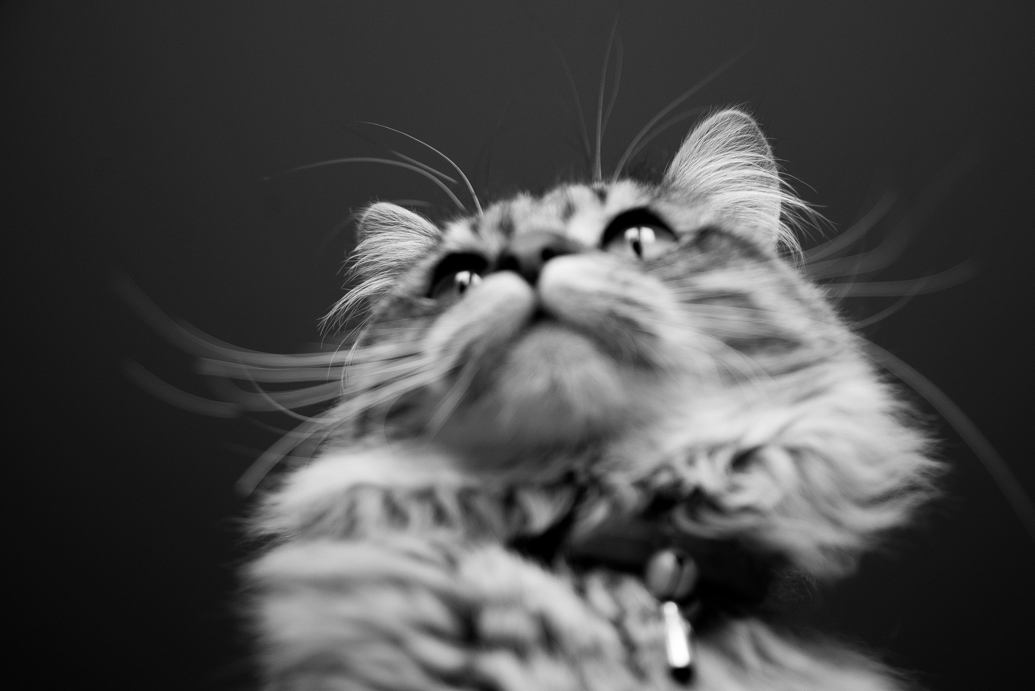 Nikon AF Nikkor 24-85mm F2.8-4D IF sample photo. L o o k photography