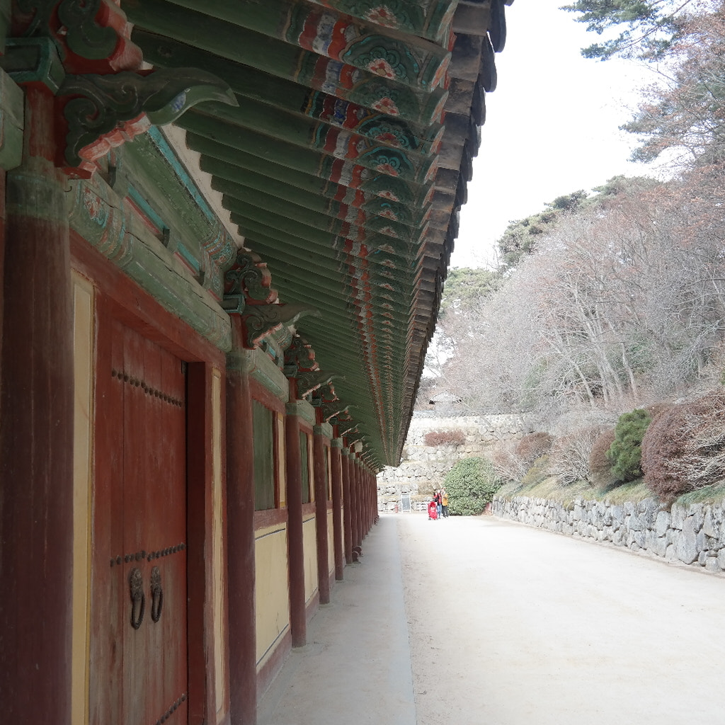 Samsung NX300M sample photo