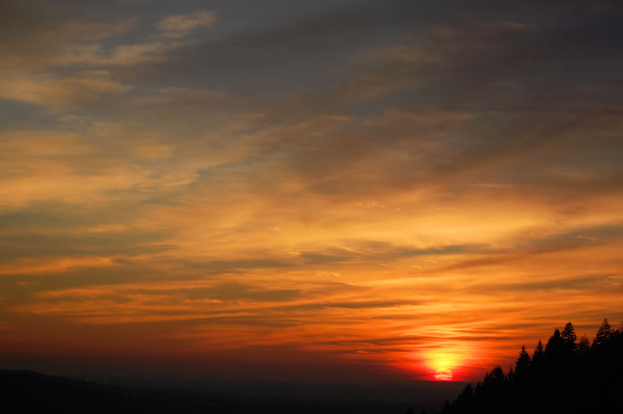 Nikon D40 sample photo. Savanne photography