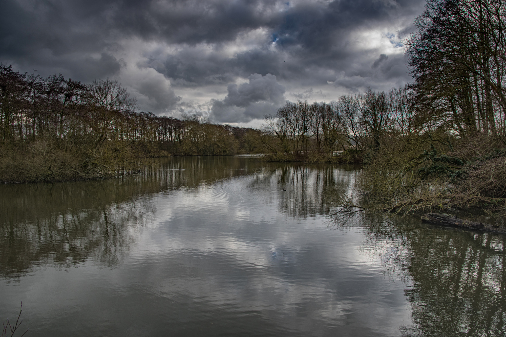 Nikon D500 sample photo. Coate water photography