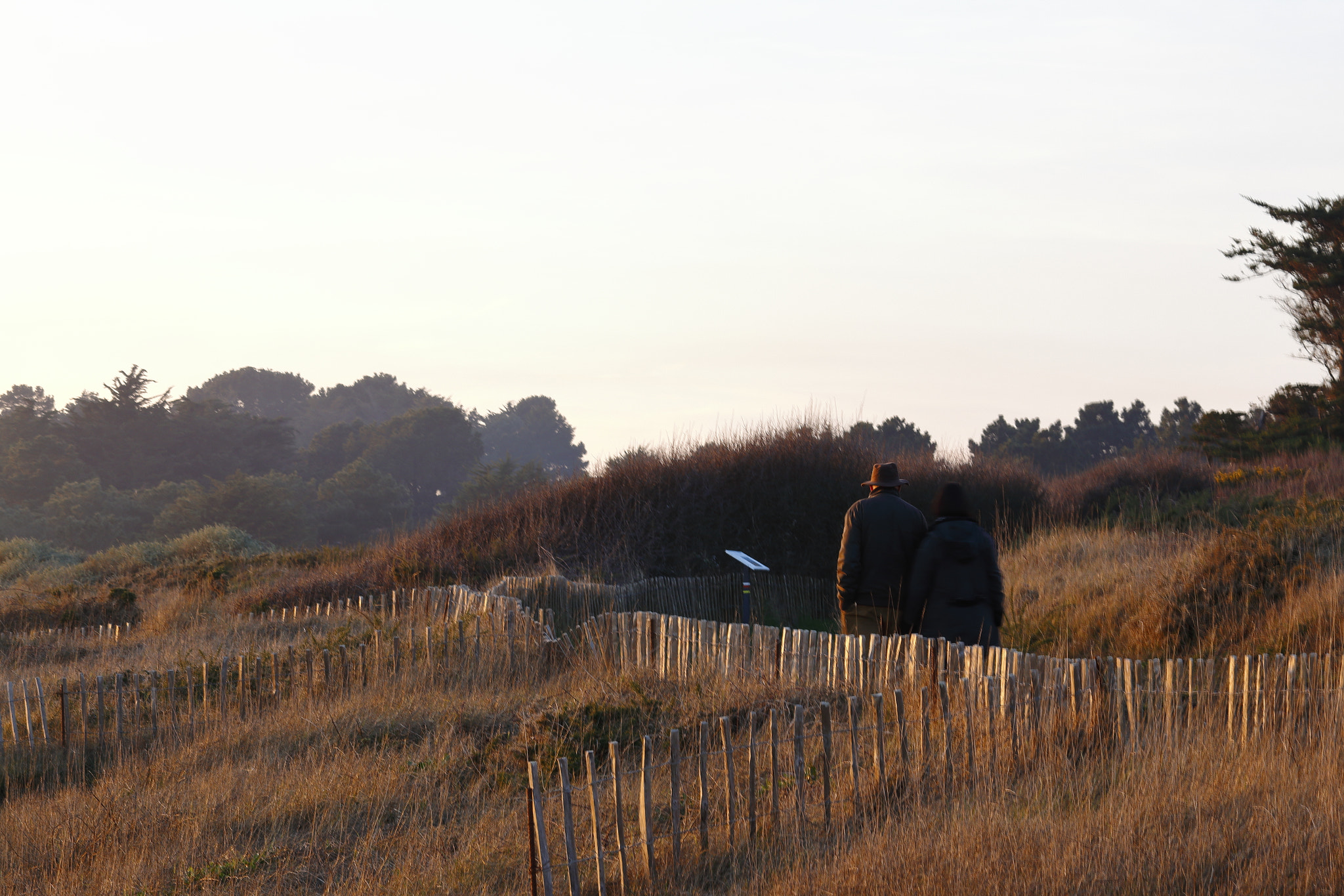 Canon EOS 70D + Canon EF 70-200mm F4L IS USM sample photo. Ballade en amoureux photography