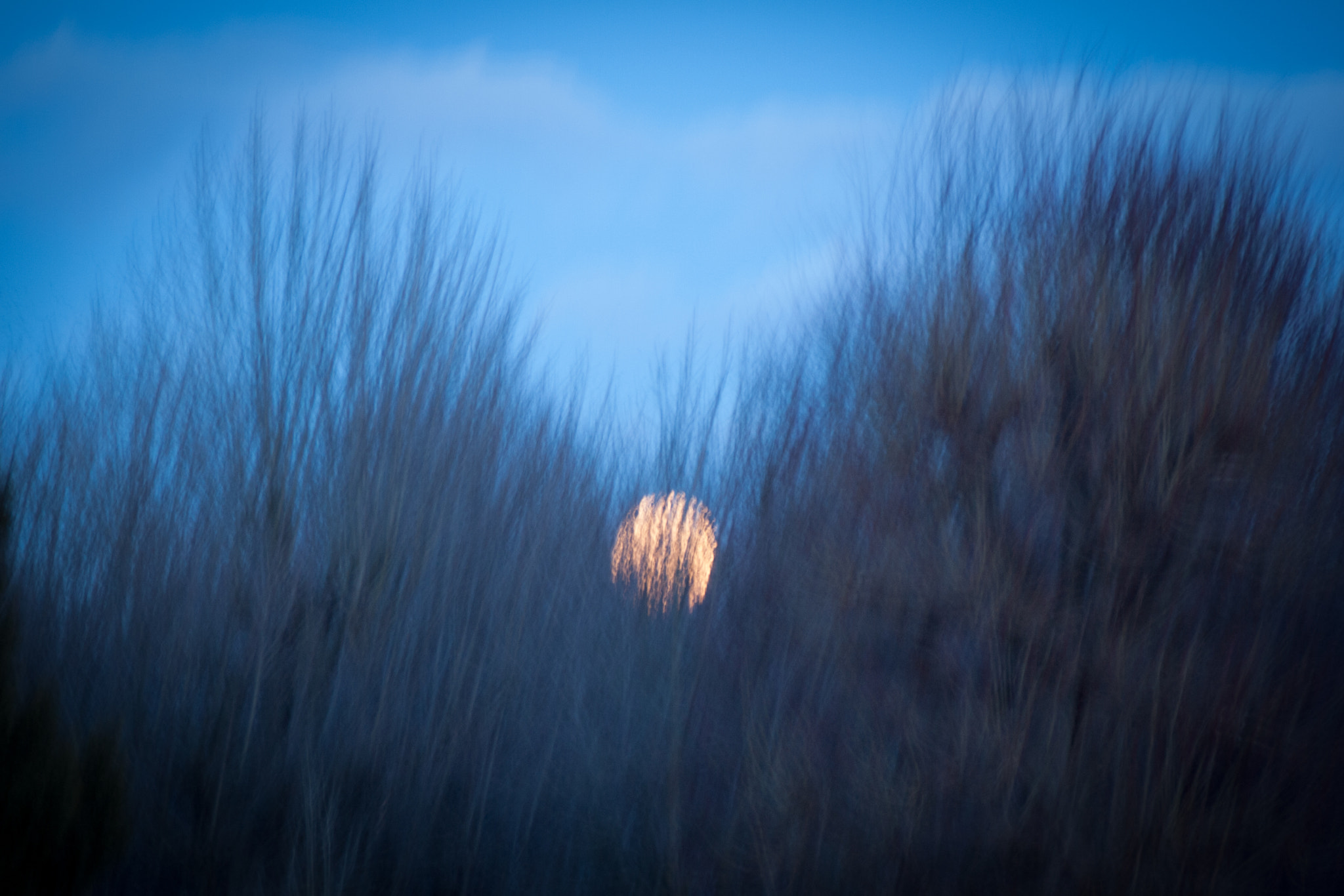 Olympus PEN E-P1 sample photo. Schoenbrunn  night photography