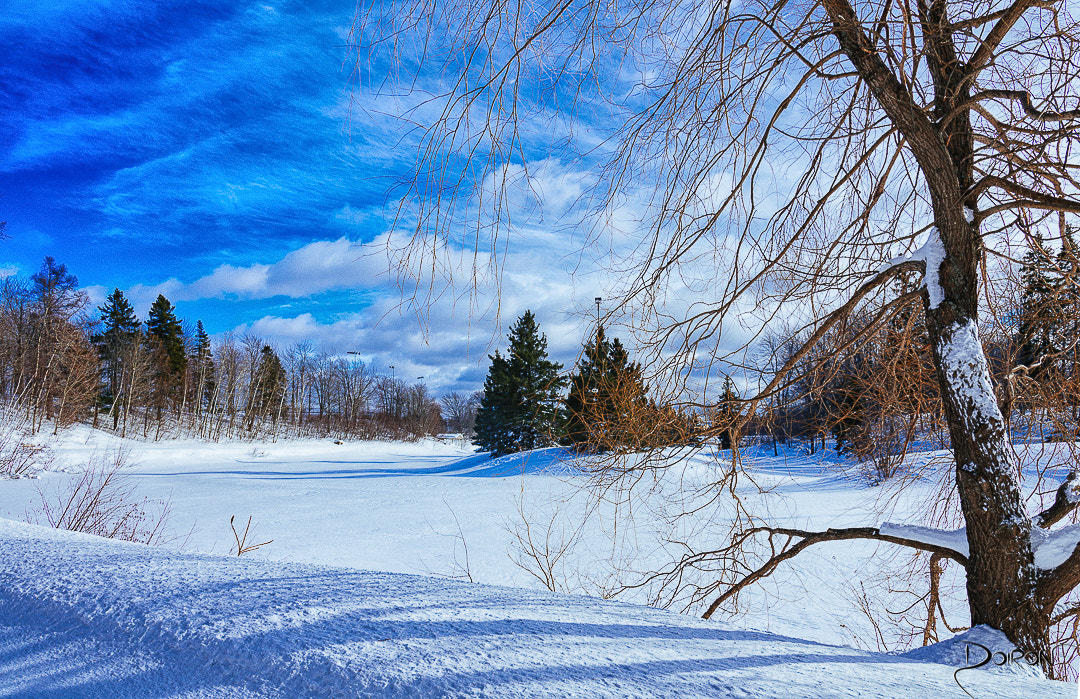 Nikon D7200 sample photo. Morning after the storm photography