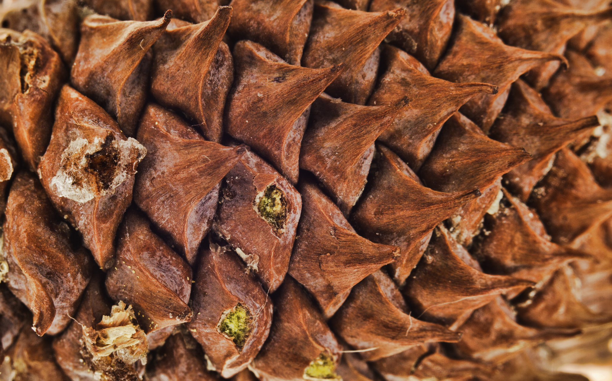 Canon EF 35-80mm f/4-5.6 sample photo. 32581781922.jpg photography