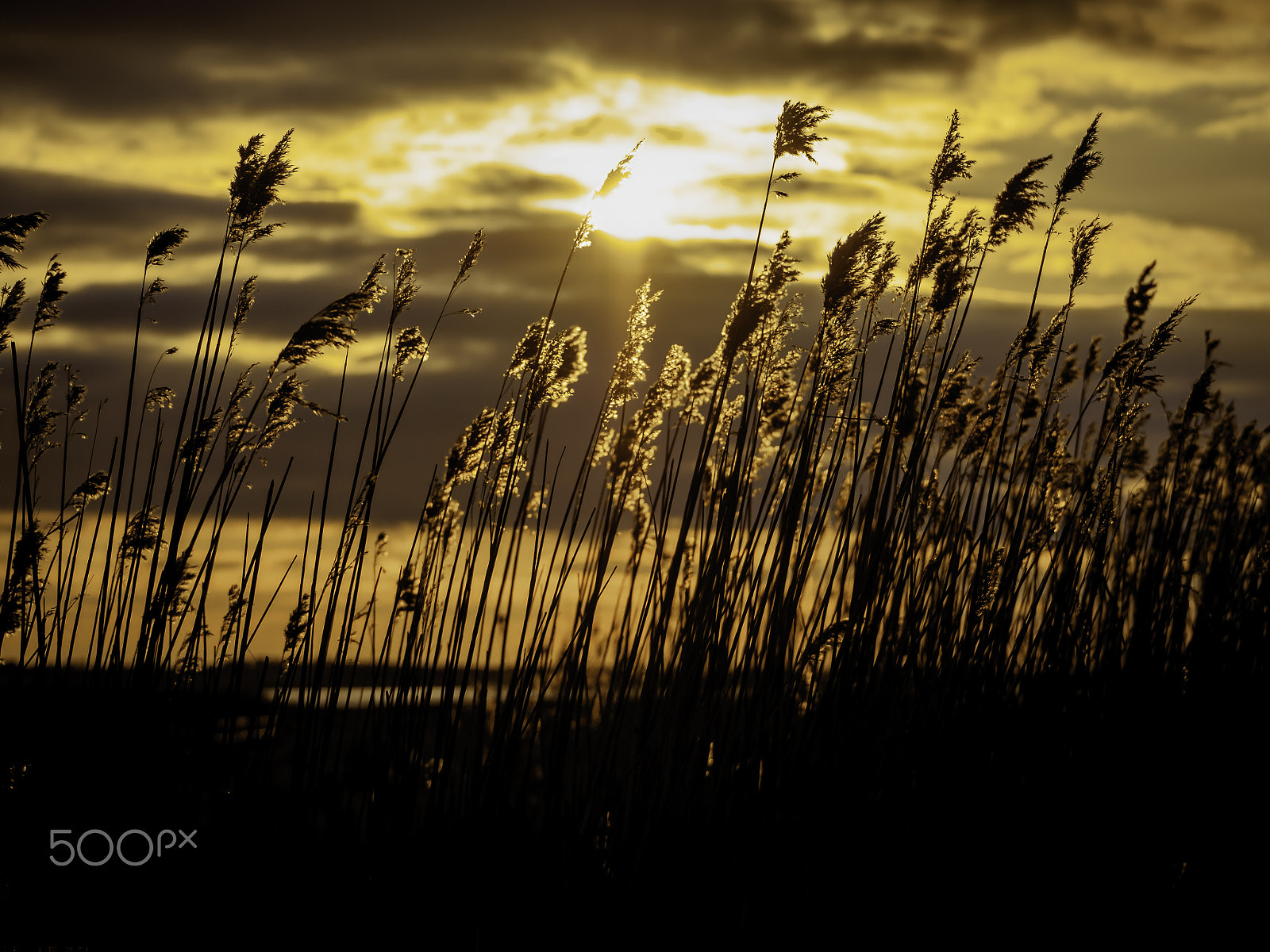 Olympus OM-D E-M10 sample photo. Sunset photography