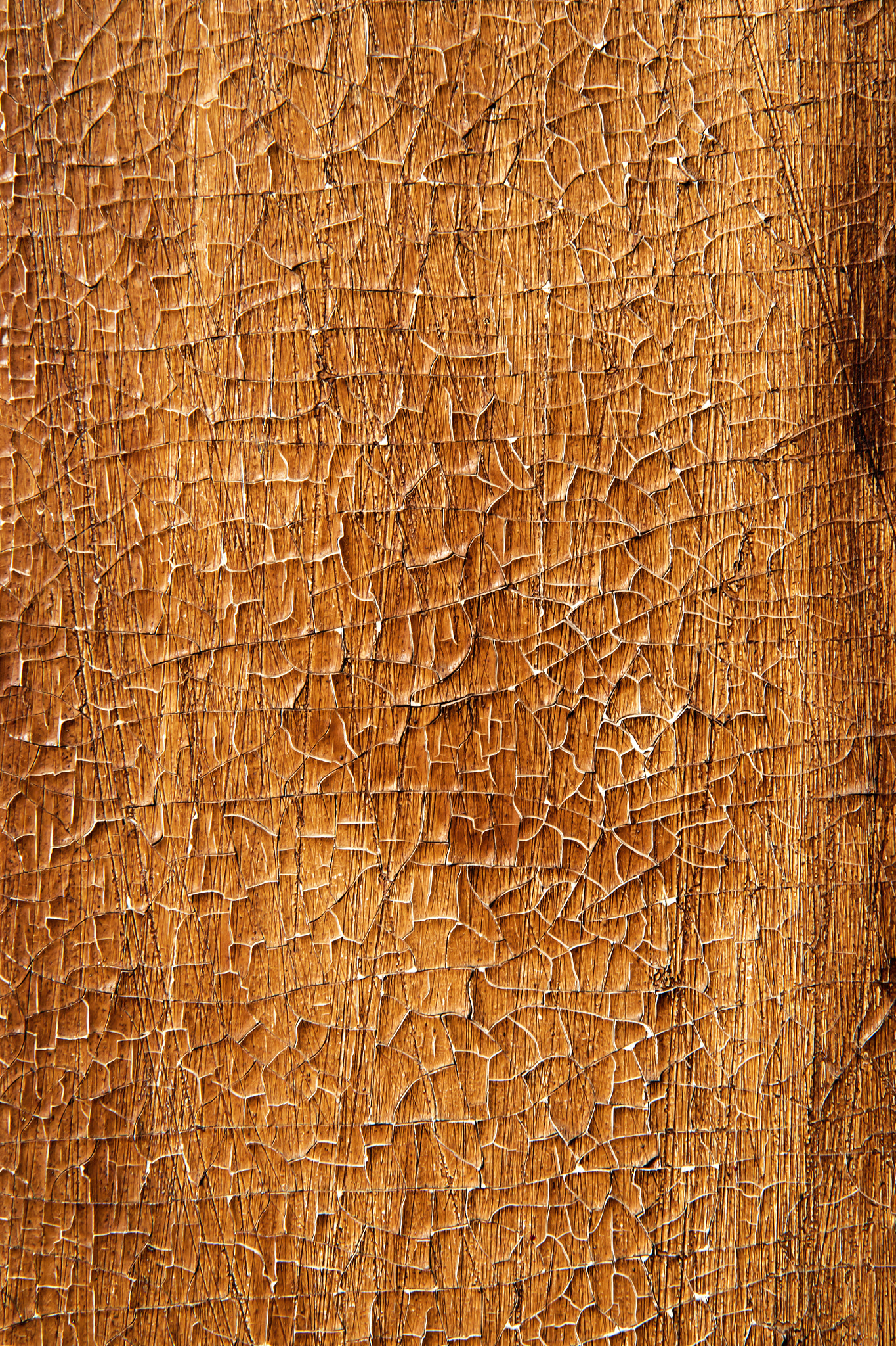 Nikon D5500 sample photo. Cracked paint on board photography