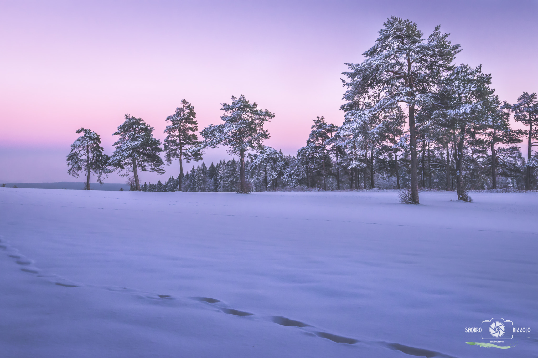 Nikon D5300 + Sigma 18-35mm F1.8 DC HSM Art sample photo. Awakeness photography