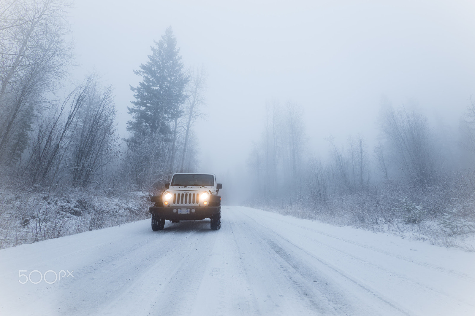 Panasonic Lumix G Vario 7-14mm F4 ASPH sample photo. Fog jeep road photography