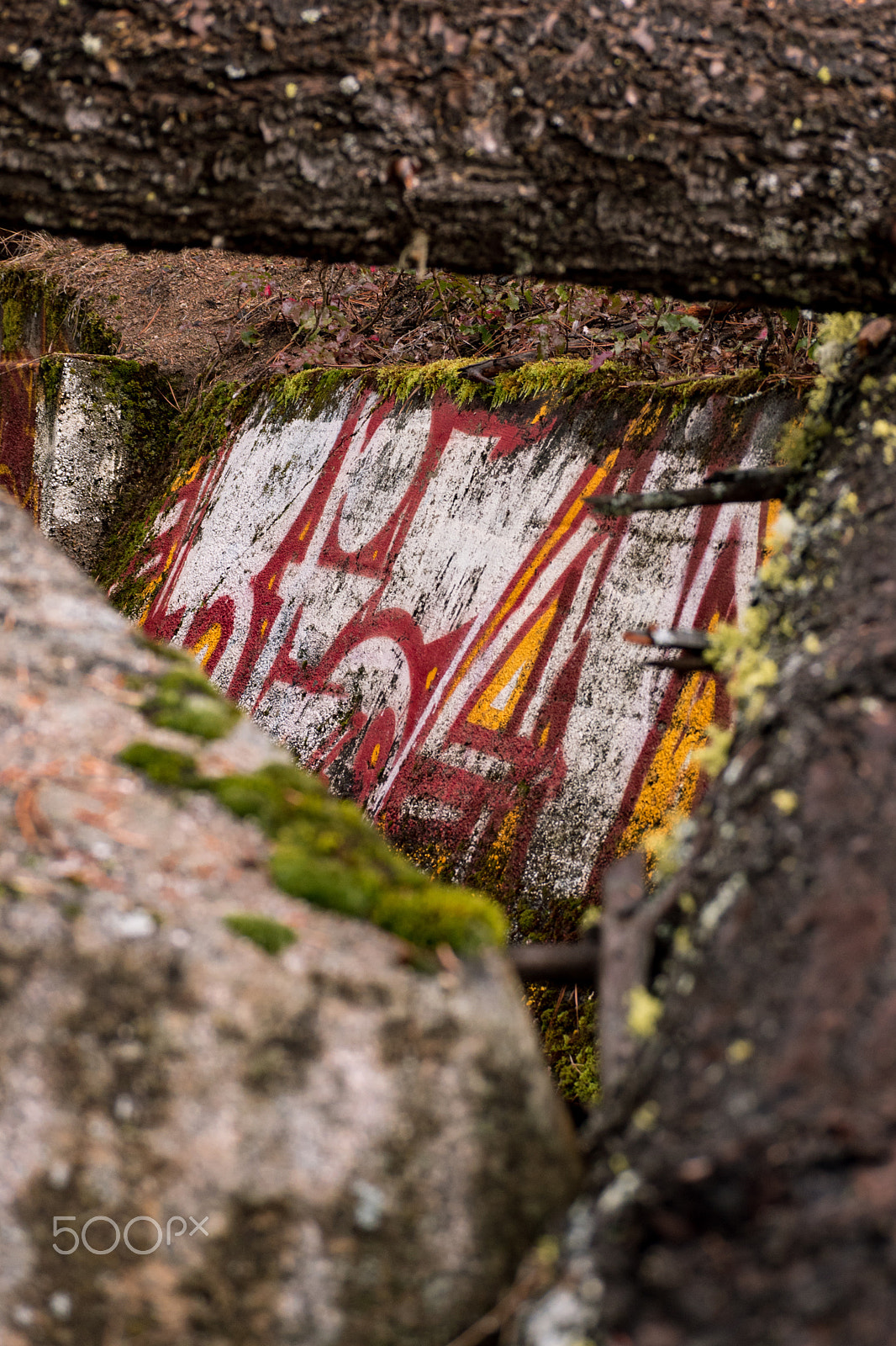 Panasonic Lumix DMC-GH4 sample photo. Grafitti treesborders photography