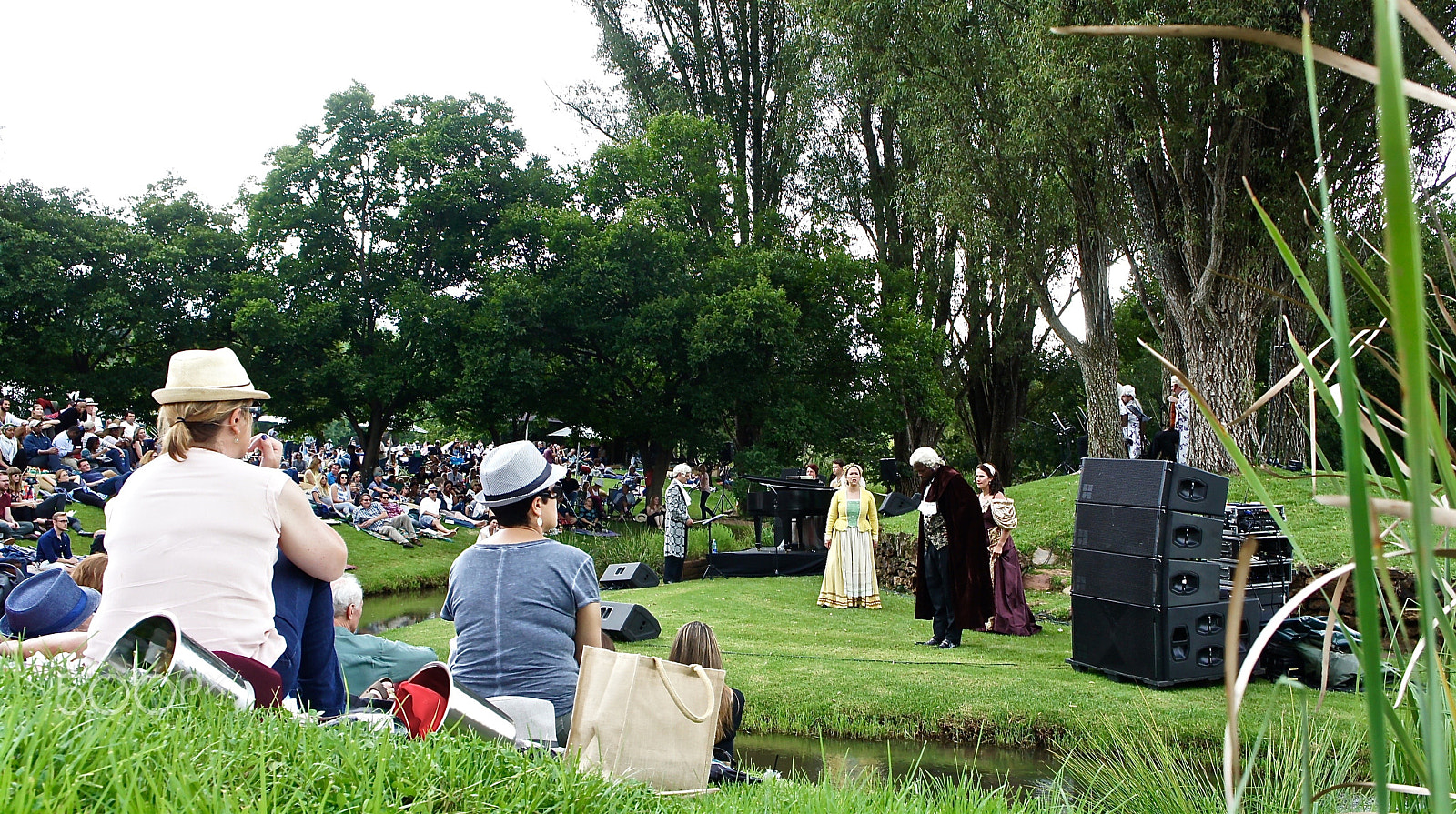 Sony Alpha NEX-5 sample photo. Concert in a park photography