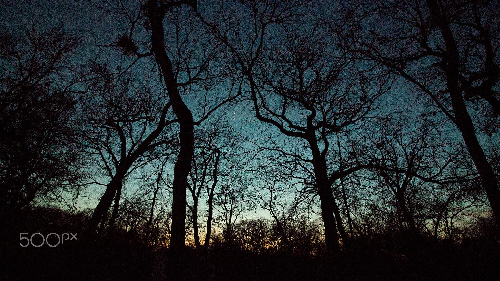 Canon EOS 650D (EOS Rebel T4i / EOS Kiss X6i) sample photo. Central texas sunset photography
