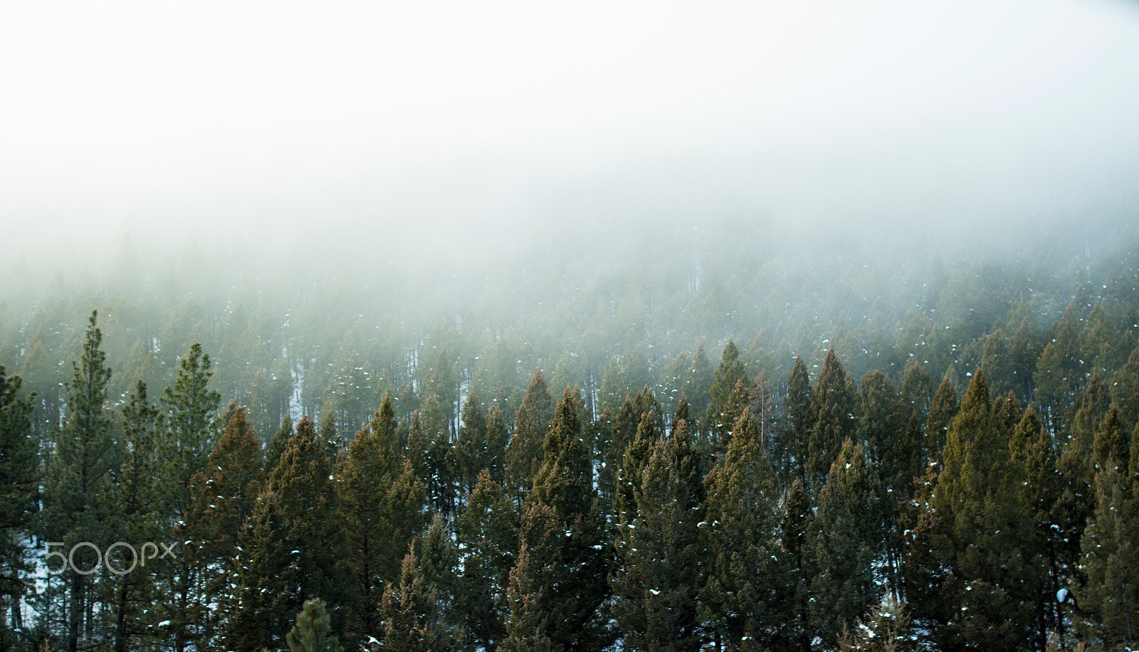 Canon EF 35mm F1.4L II USM sample photo. Fog in the mountains photography