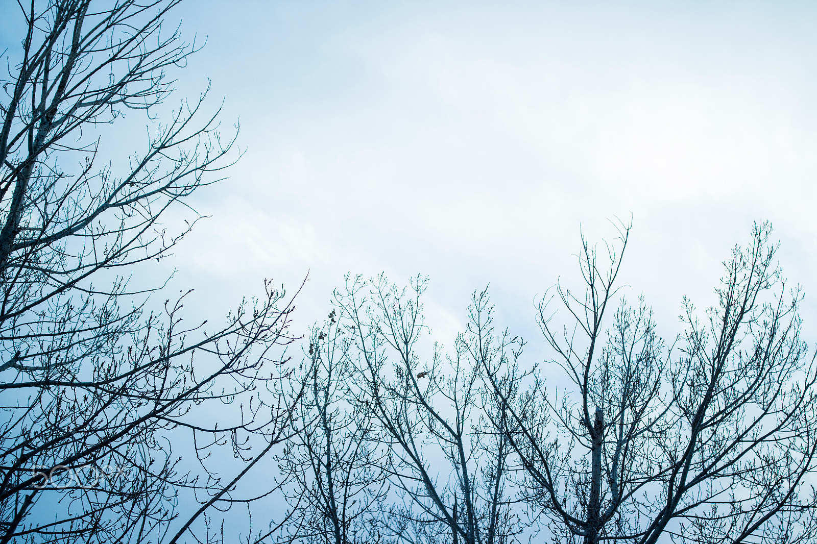 Canon EF 35mm F1.4L II USM sample photo. Cold weather photography