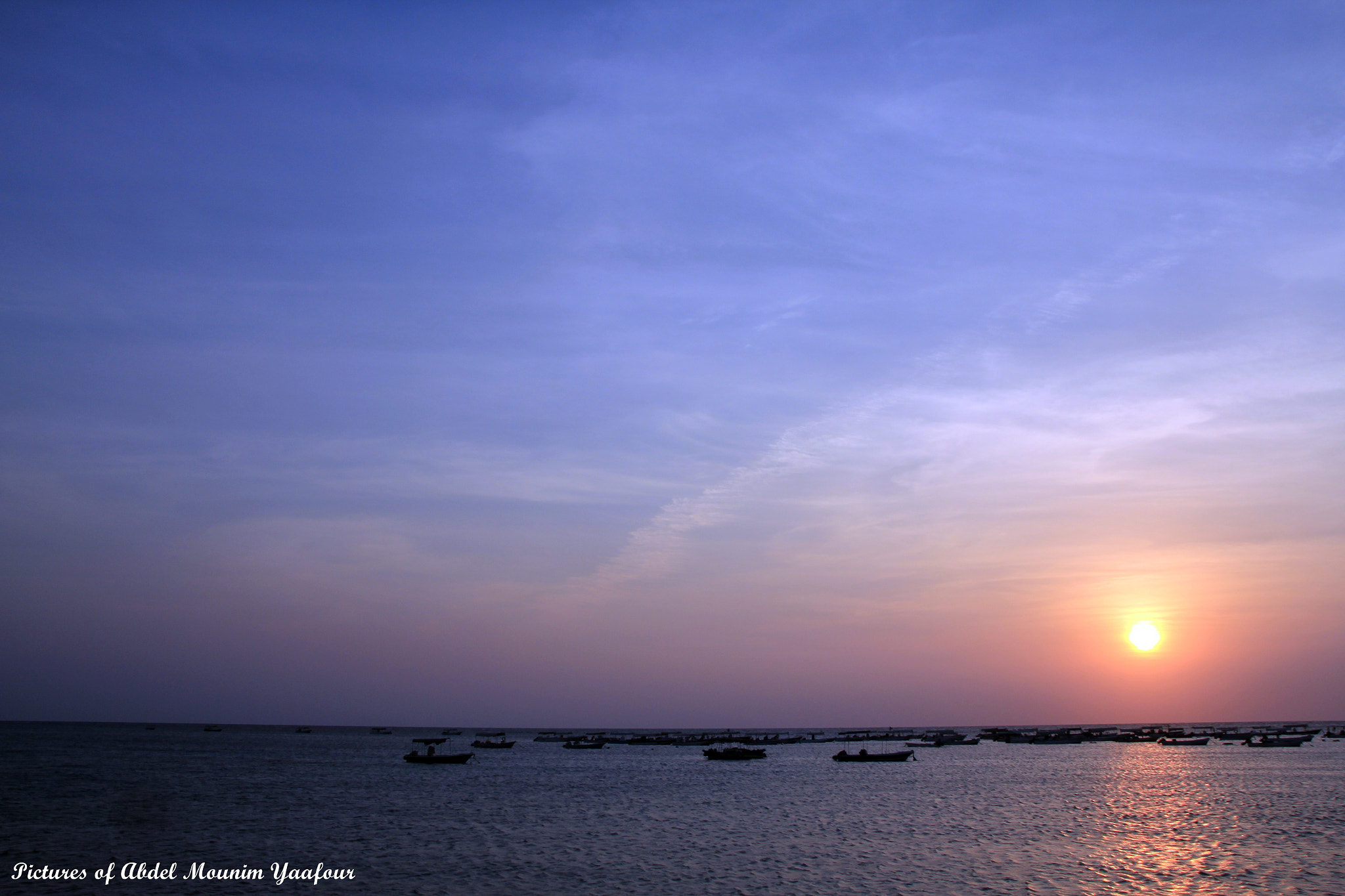 Sigma 18-250mm F3.5-6.3 DC OS HSM sample photo. Saif beash photography