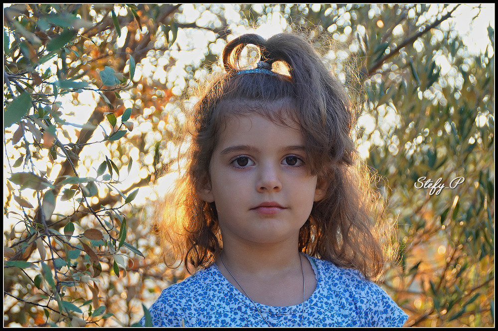 Sony DT 18-200mm F3.5-6.3 sample photo. Portrait through the olive branches photography