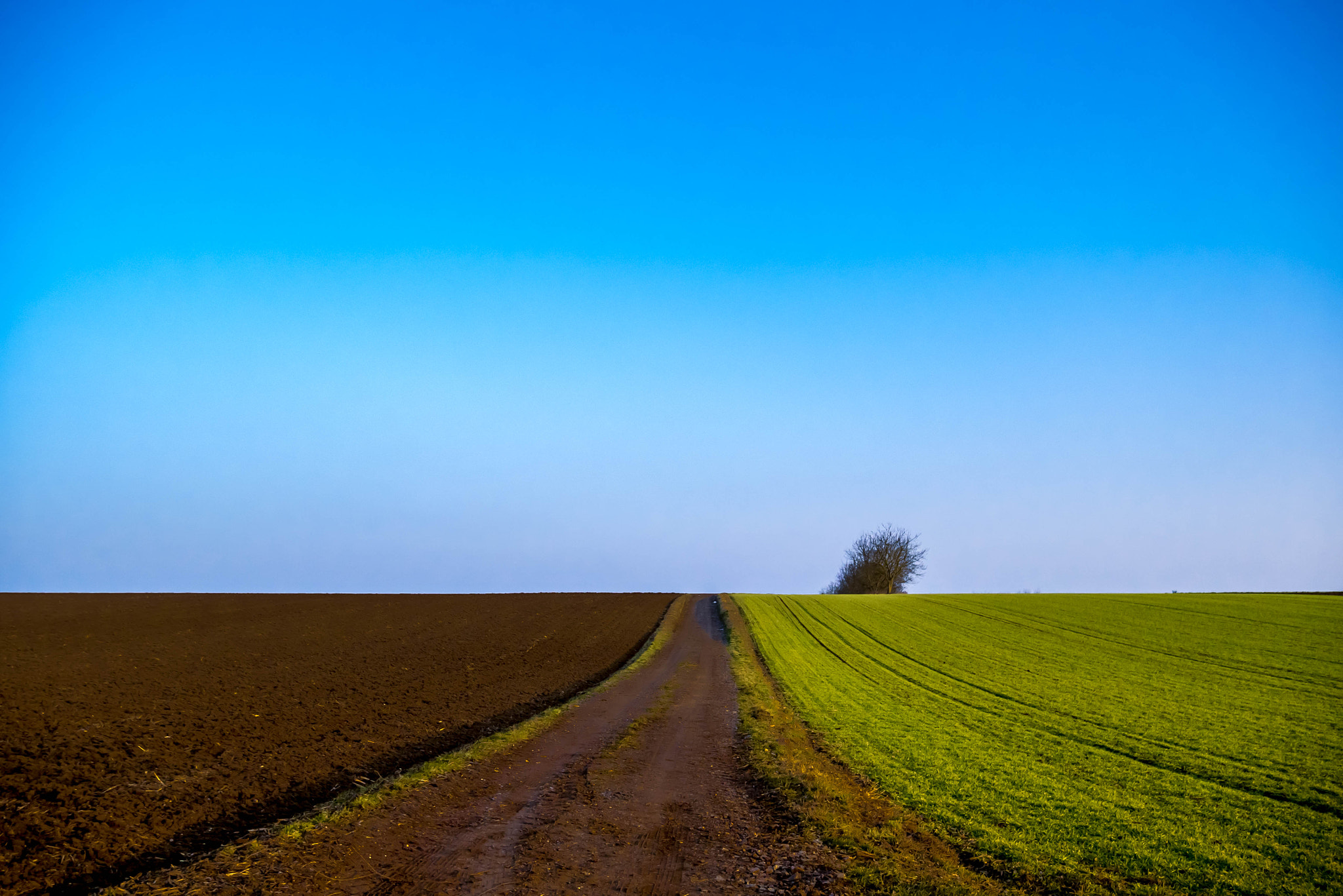 Panasonic Lumix DMC-G7 sample photo. Growing field photography