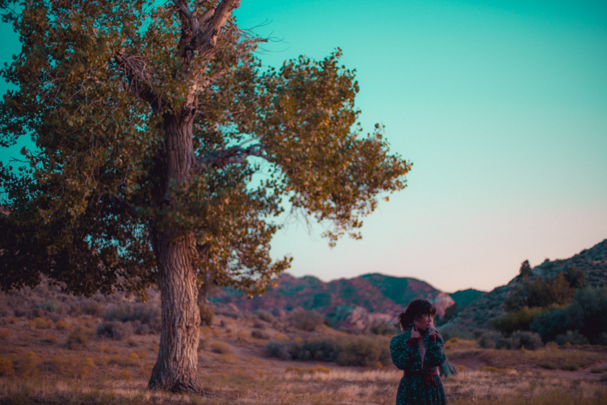 ZEISS Planar T* 50mm F1.4 sample photo. Smash boho past extruded photography