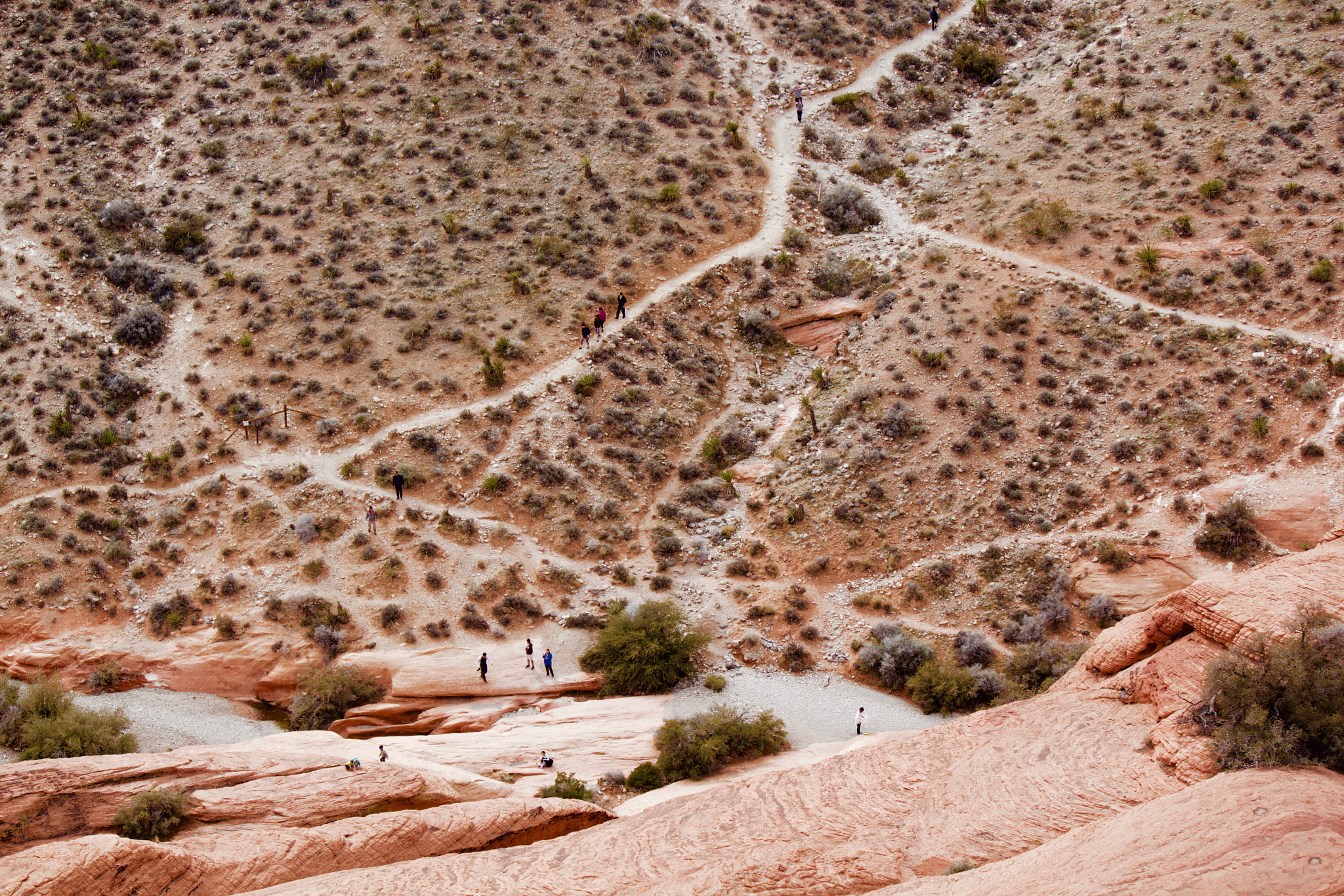 Canon EF-S 55-250mm F4-5.6 IS sample photo. Red rock photography