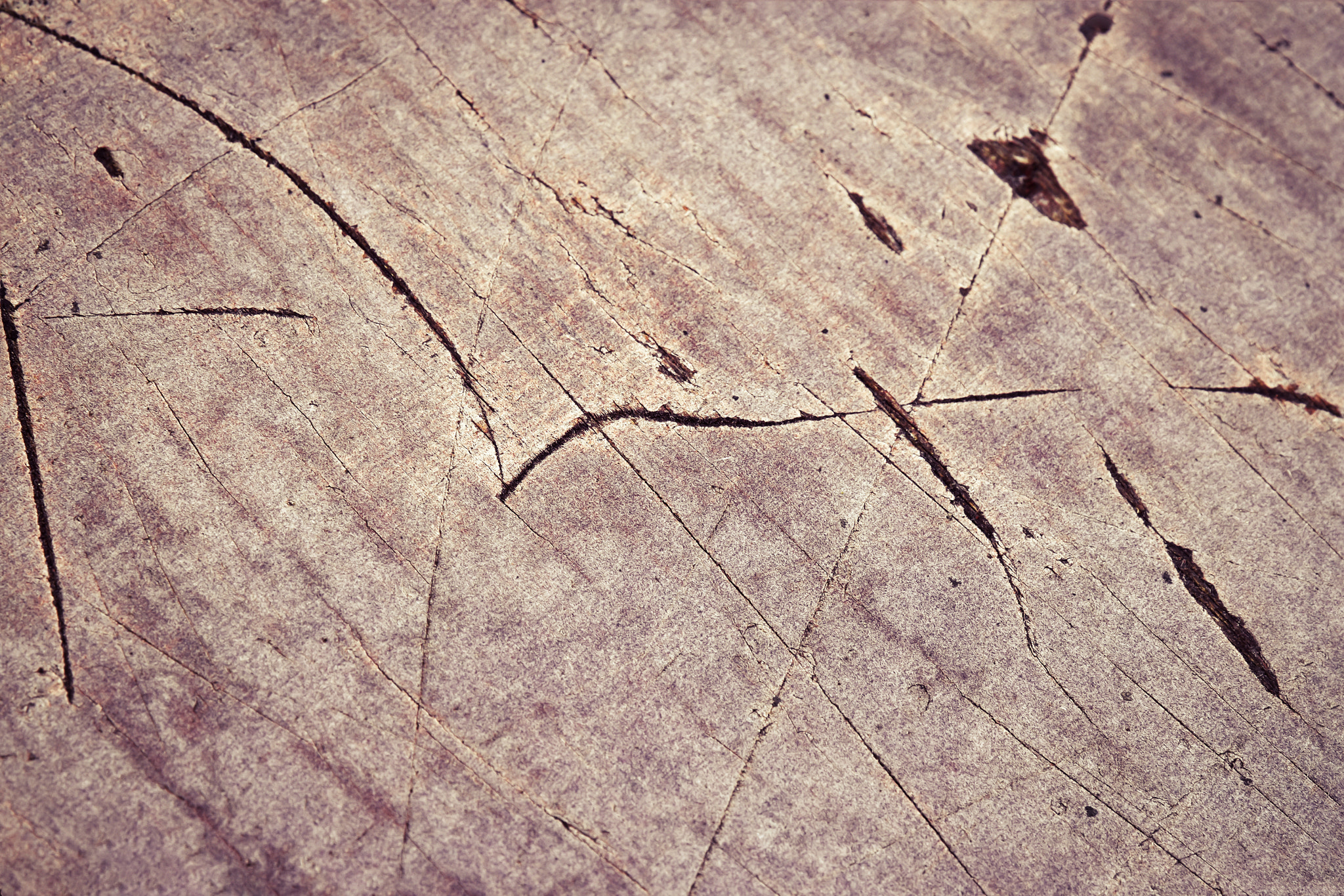Nikon D5500 sample photo. Chopped up scratches on plywood board photography
