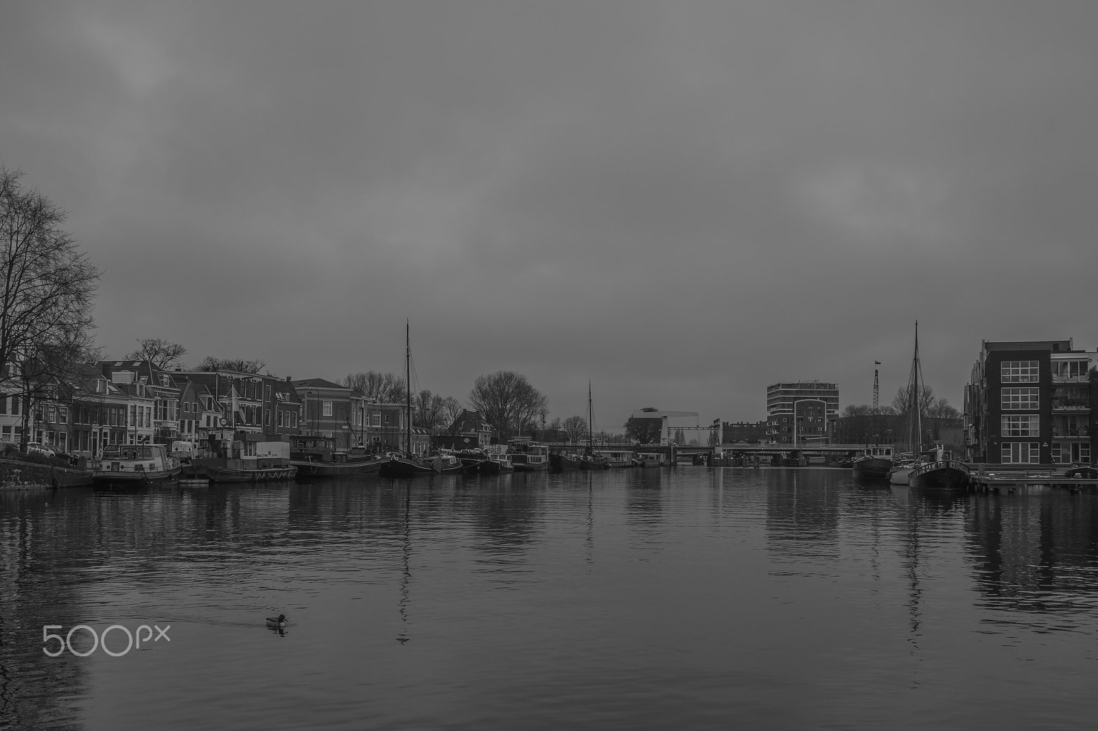 Nikon D500 sample photo. Spaarne photography