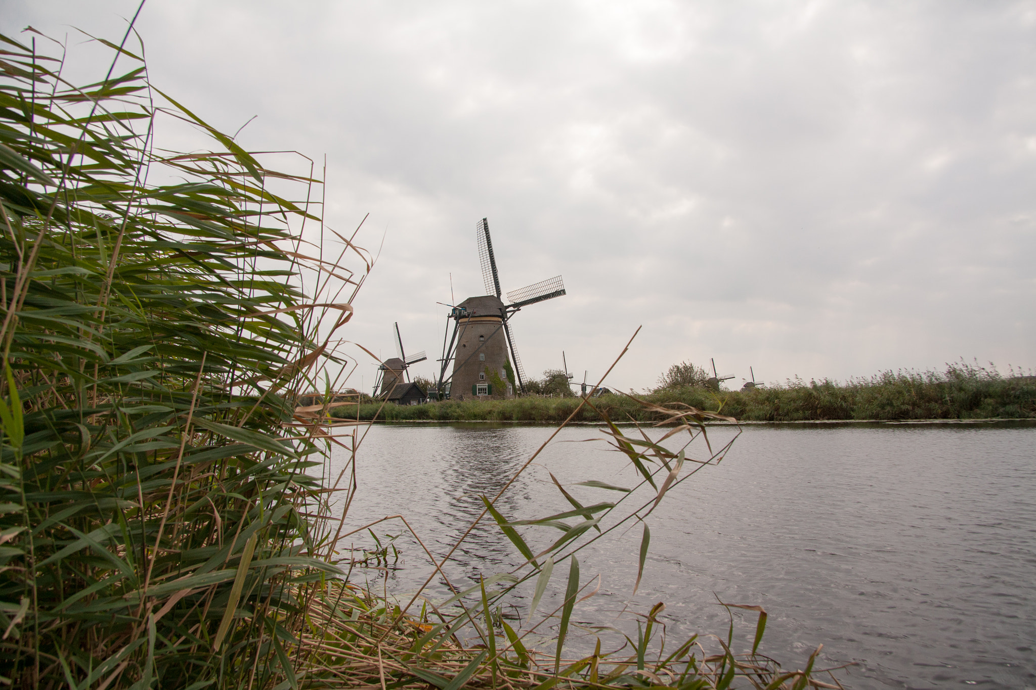 Canon EOS 450D (EOS Rebel XSi / EOS Kiss X2) sample photo. Windmills in netherland photography