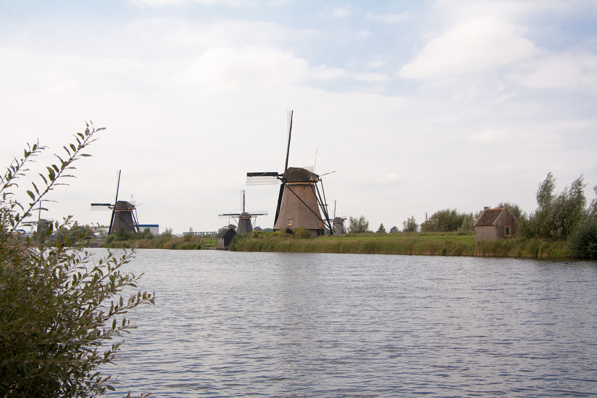 Canon EOS 450D (EOS Rebel XSi / EOS Kiss X2) sample photo. Windmills in netherland photography