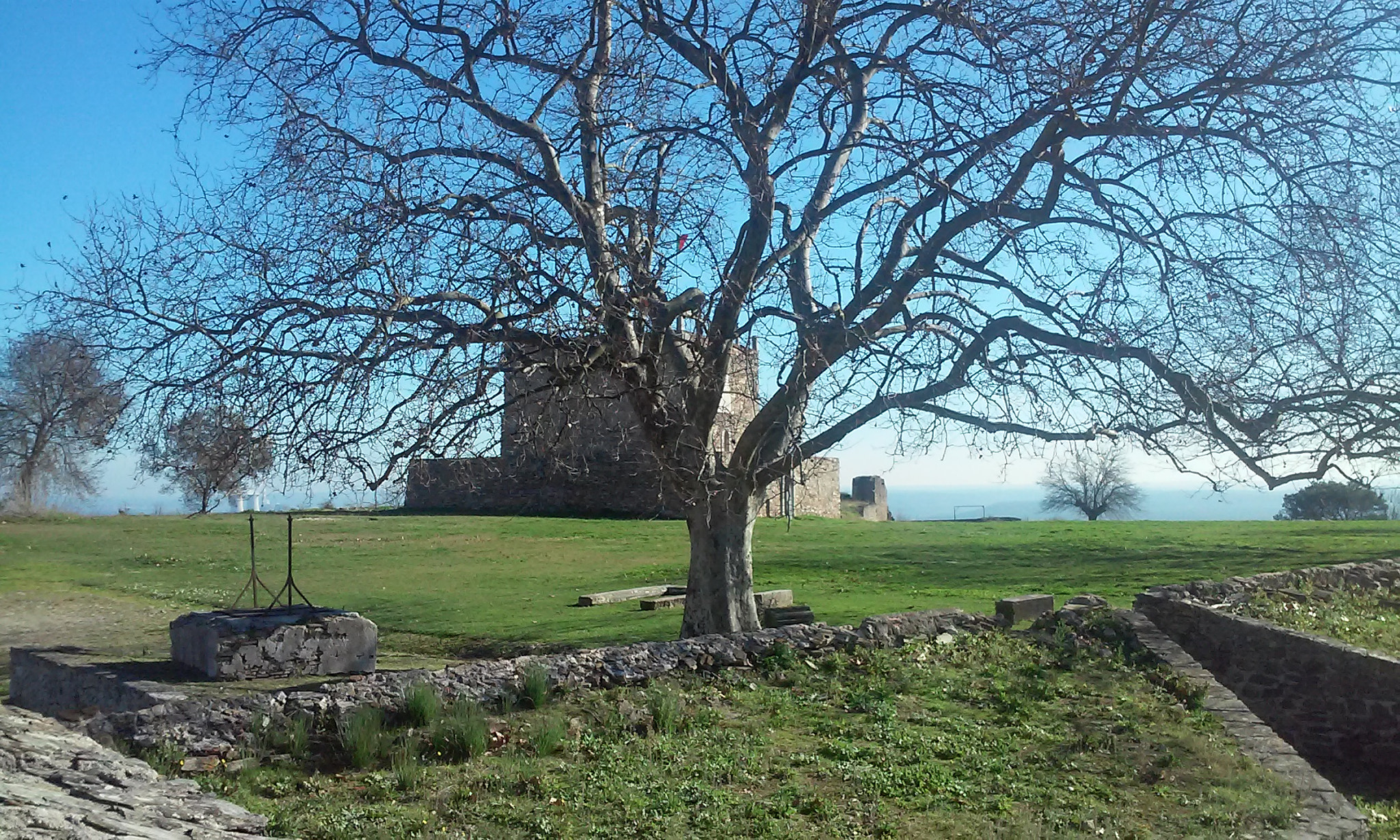 LG L70 sample photo. Untitled photography