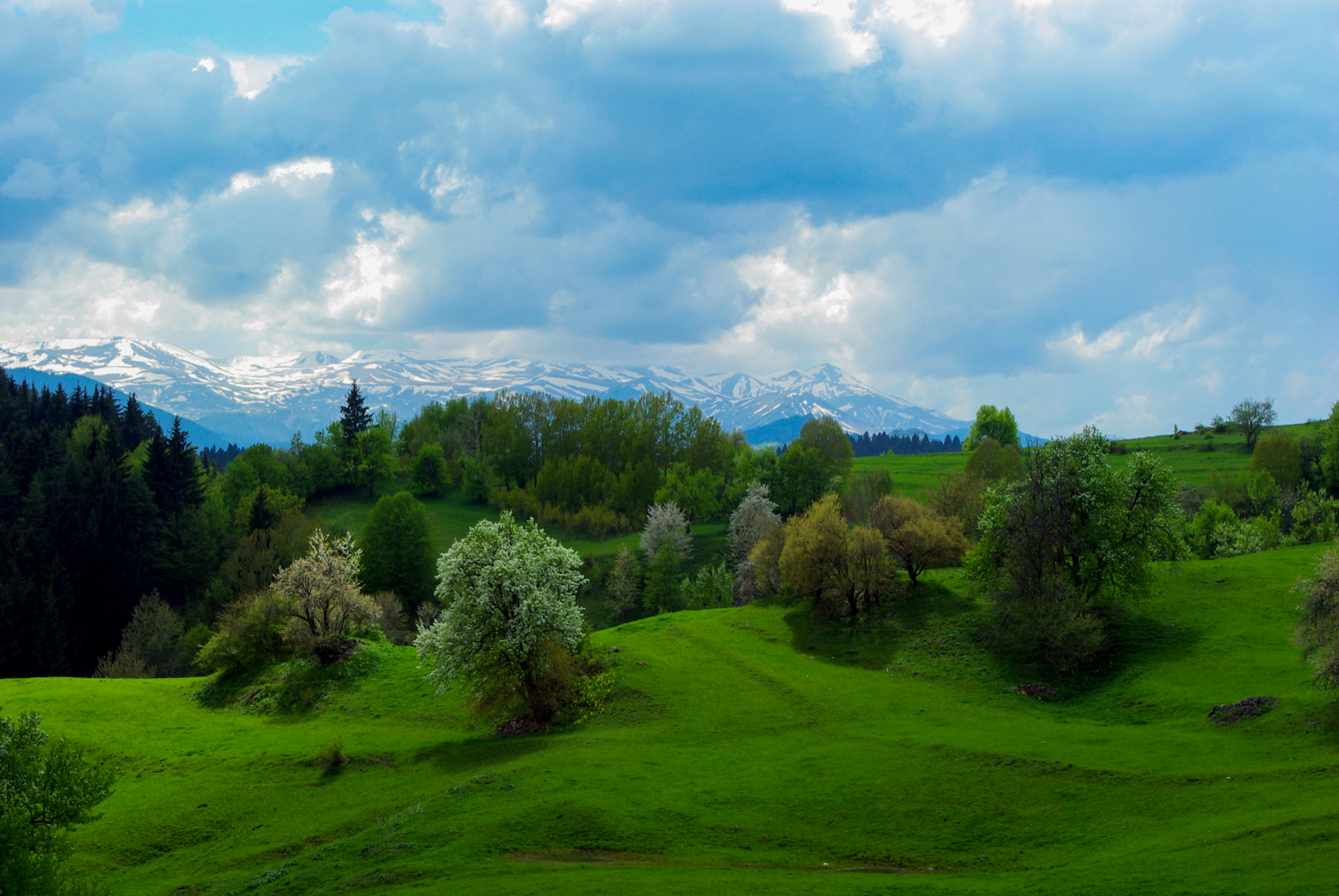 Pentax K10D sample photo. Artvin rural photography