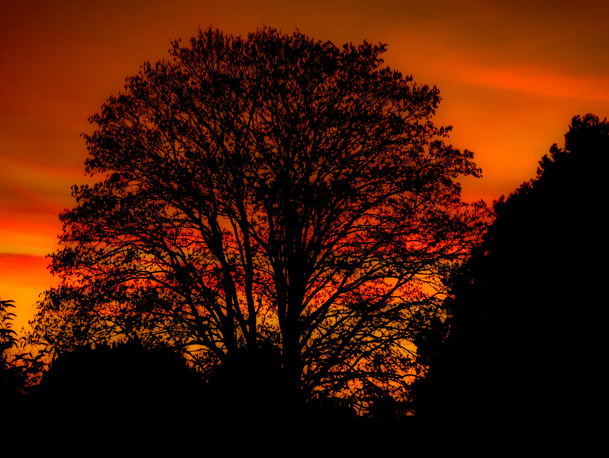 Panasonic Lumix DMC-GM1 sample photo. Sunset suntrap photography