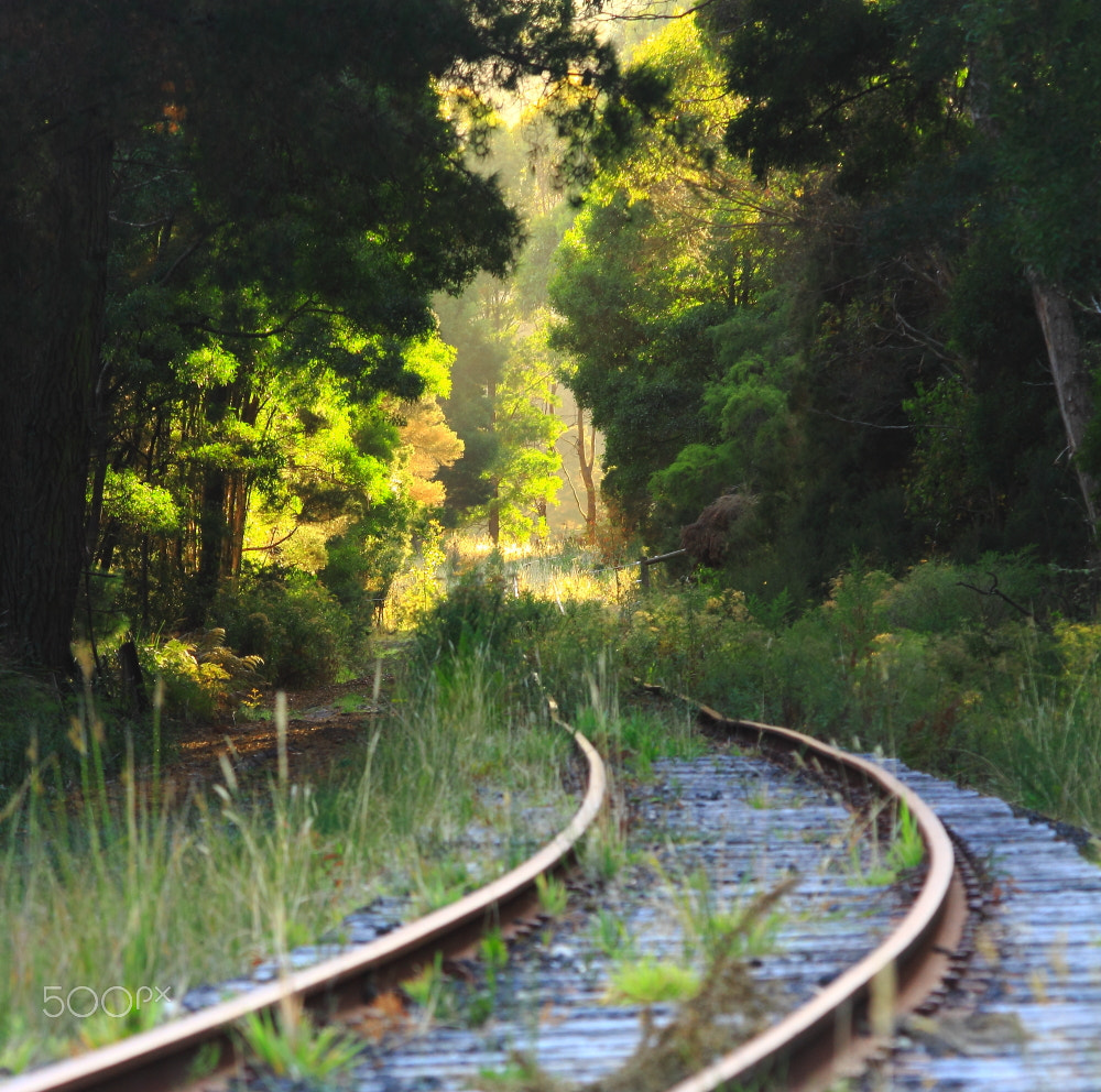 Canon EF-S 55-250mm F4-5.6 IS sample photo. Yanns rd line photography