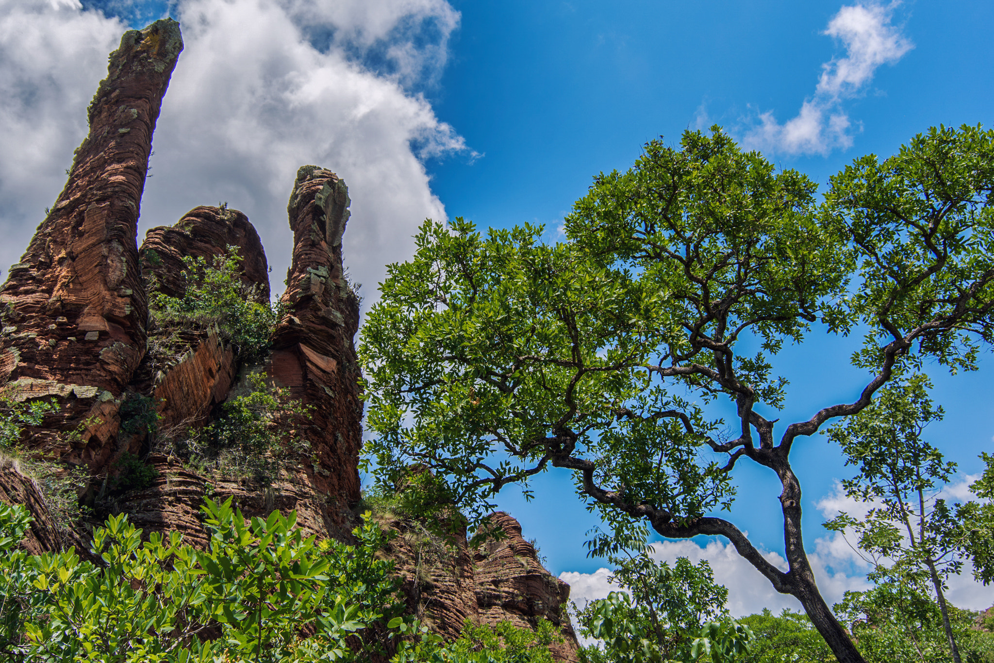 Nikon D7200 sample photo. Chapada photography