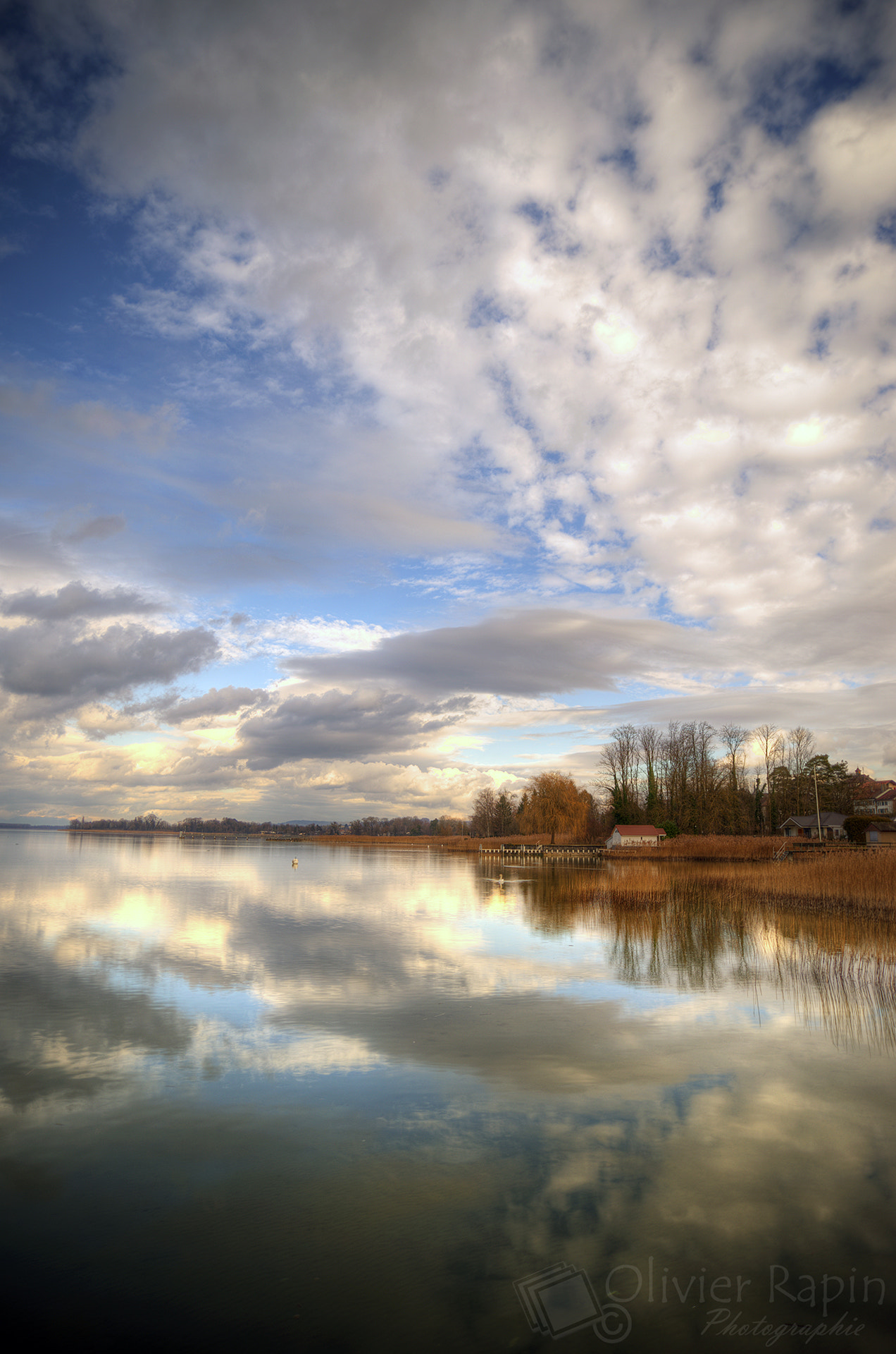 Sony a7 + Sigma 20mm F1.8 EX DG Aspherical RF sample photo. Lac de morat photography